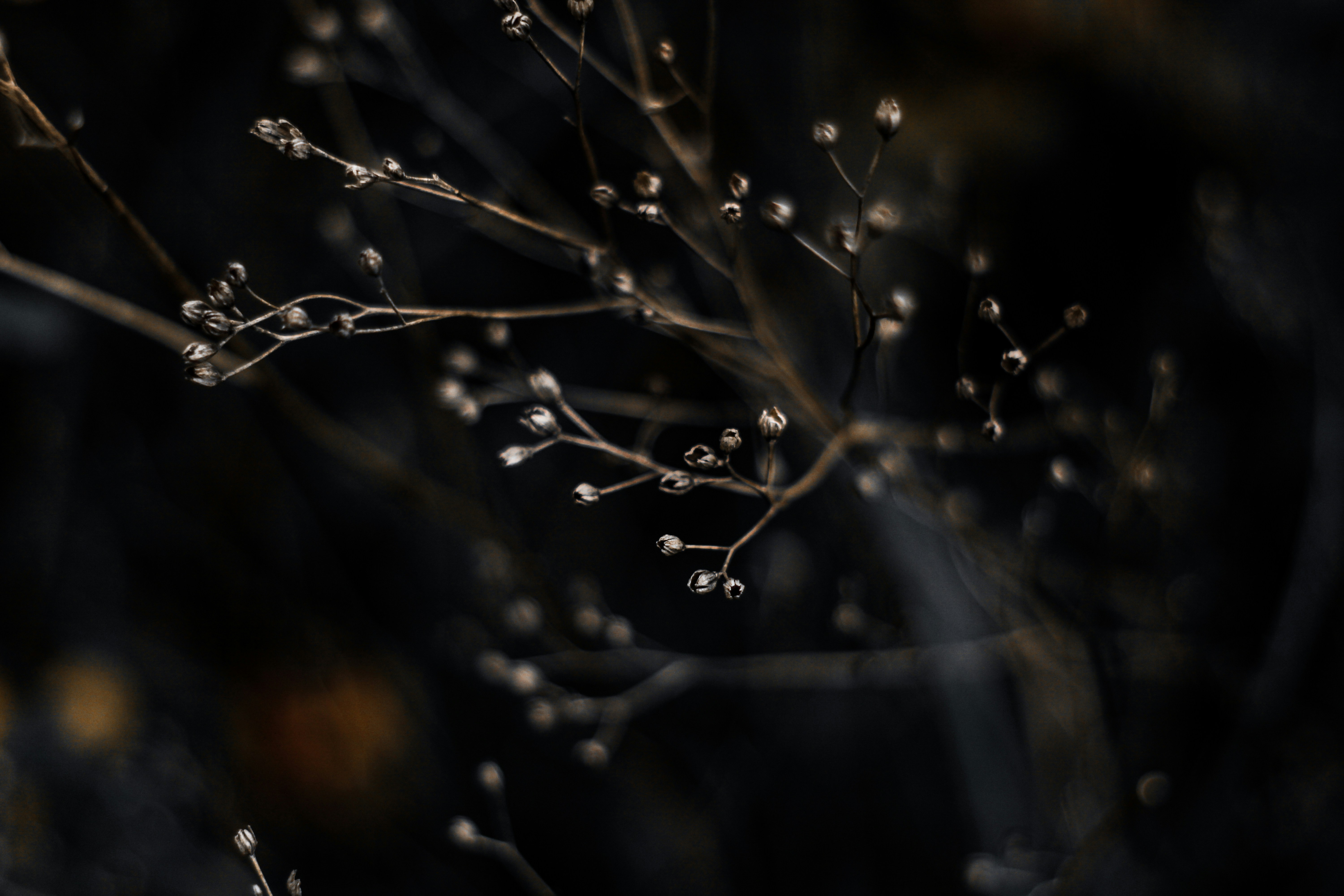 Photo by mineral_of_demon