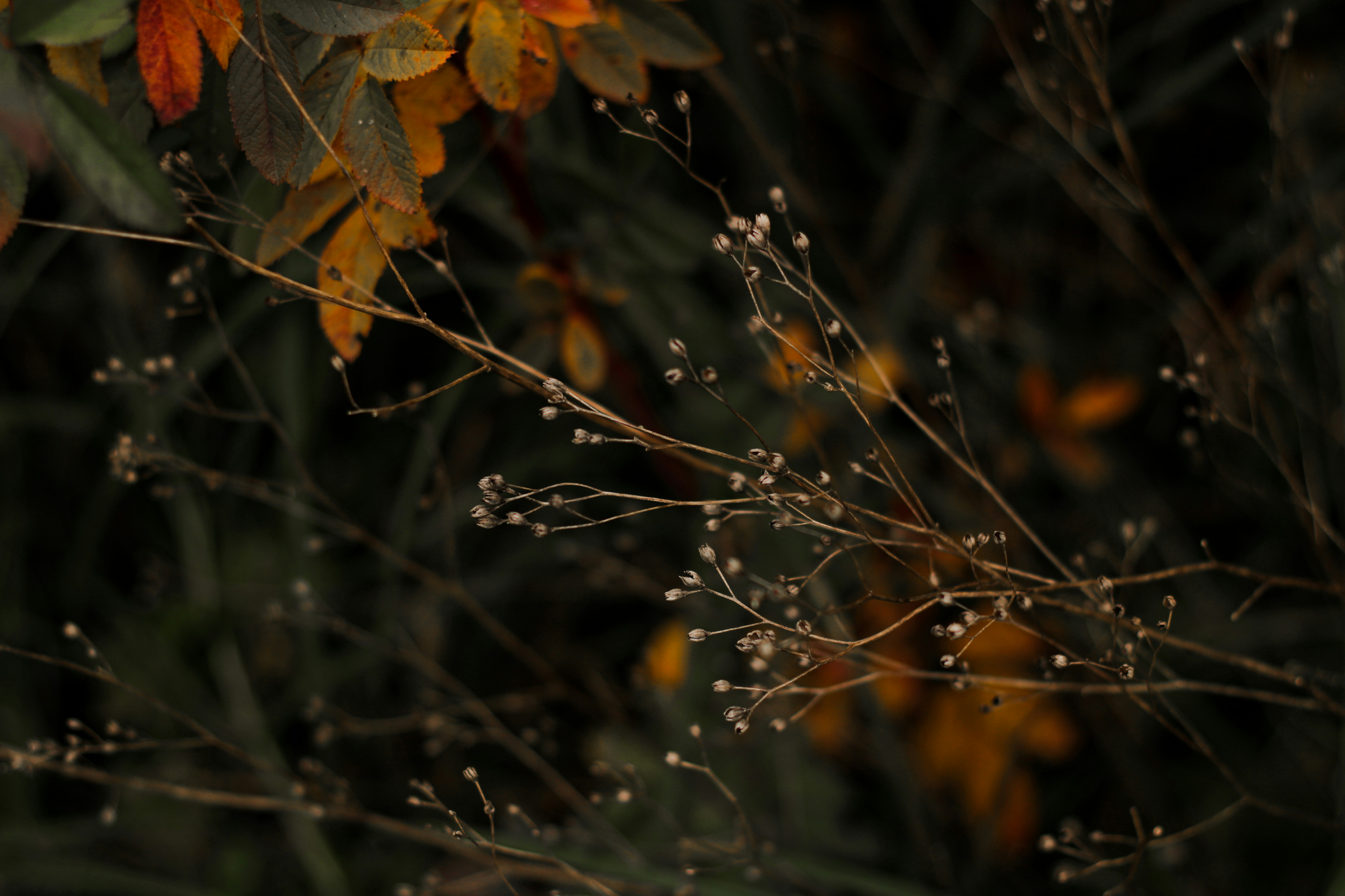 Photo by mineral_of_demon