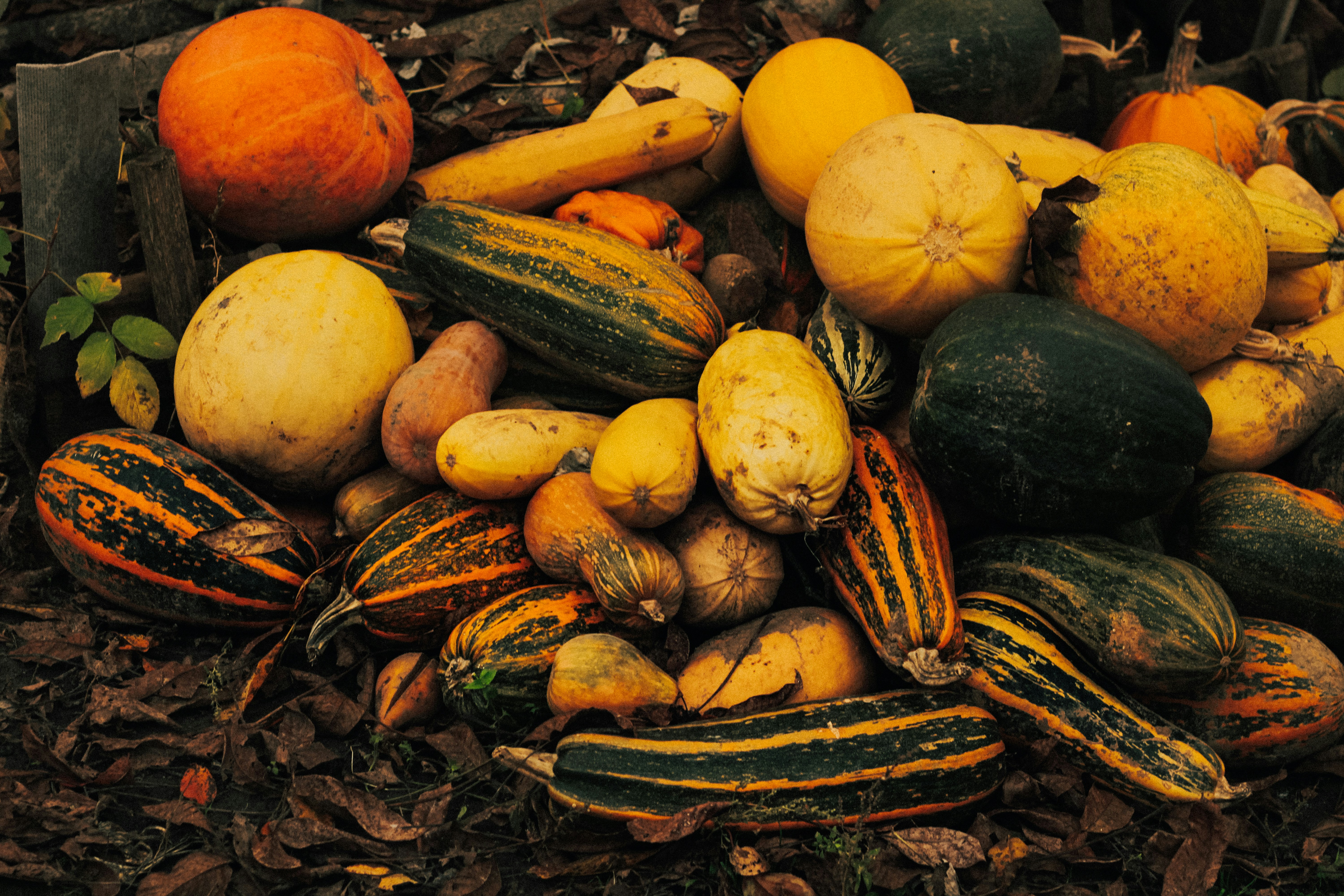 Photo by mineral_of_demon