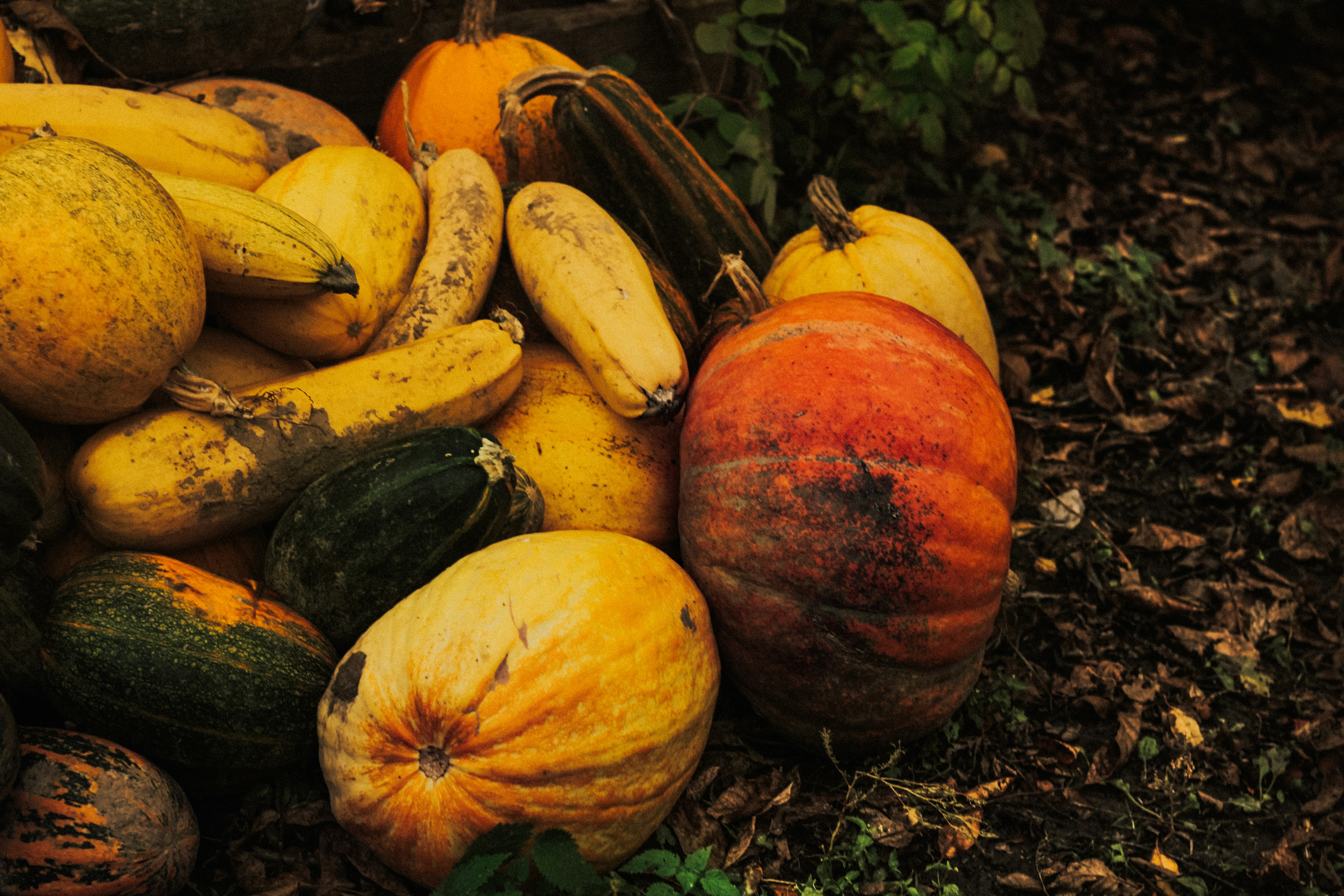 Photo by mineral_of_demon