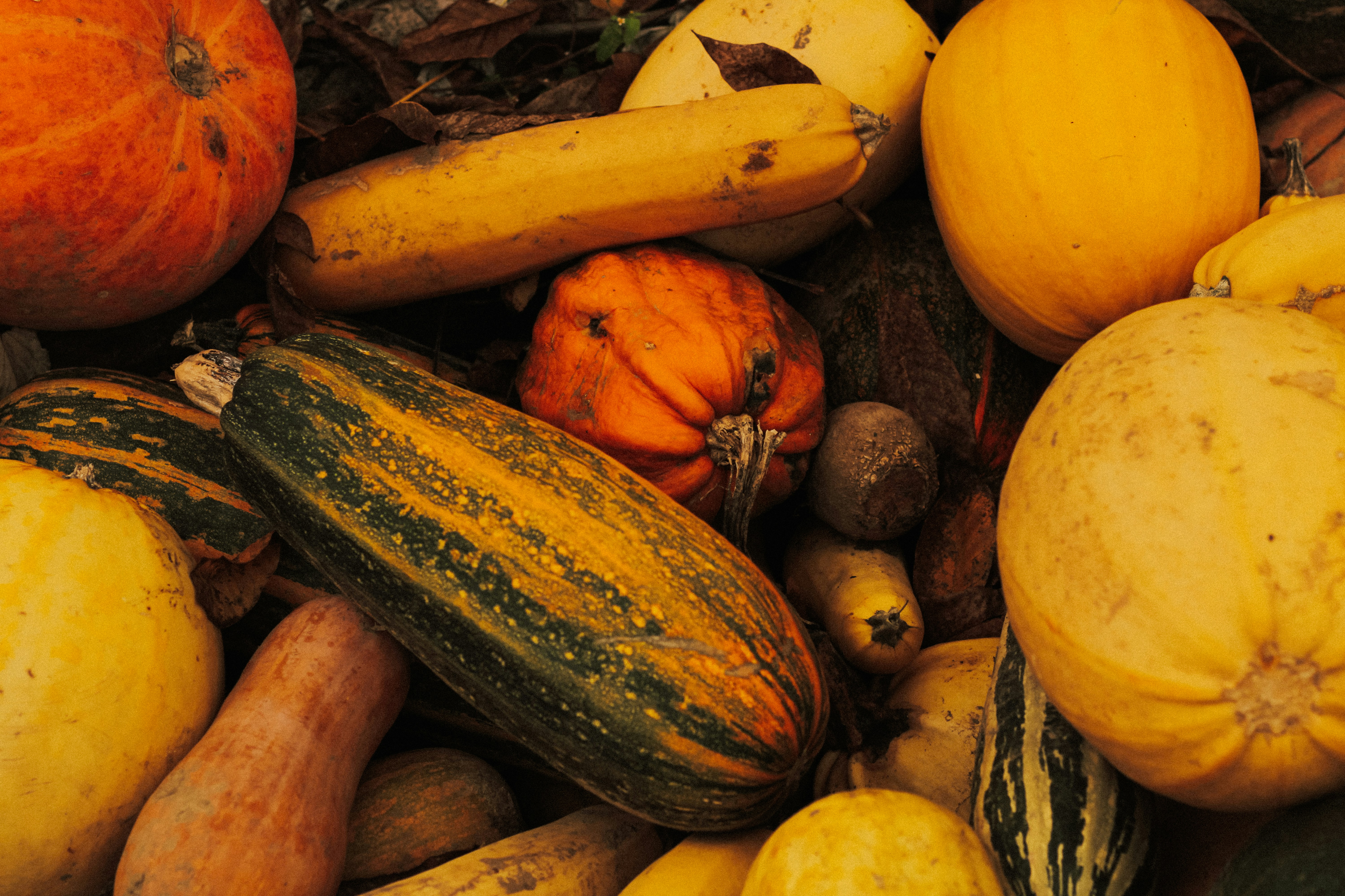 Photo by mineral_of_demon