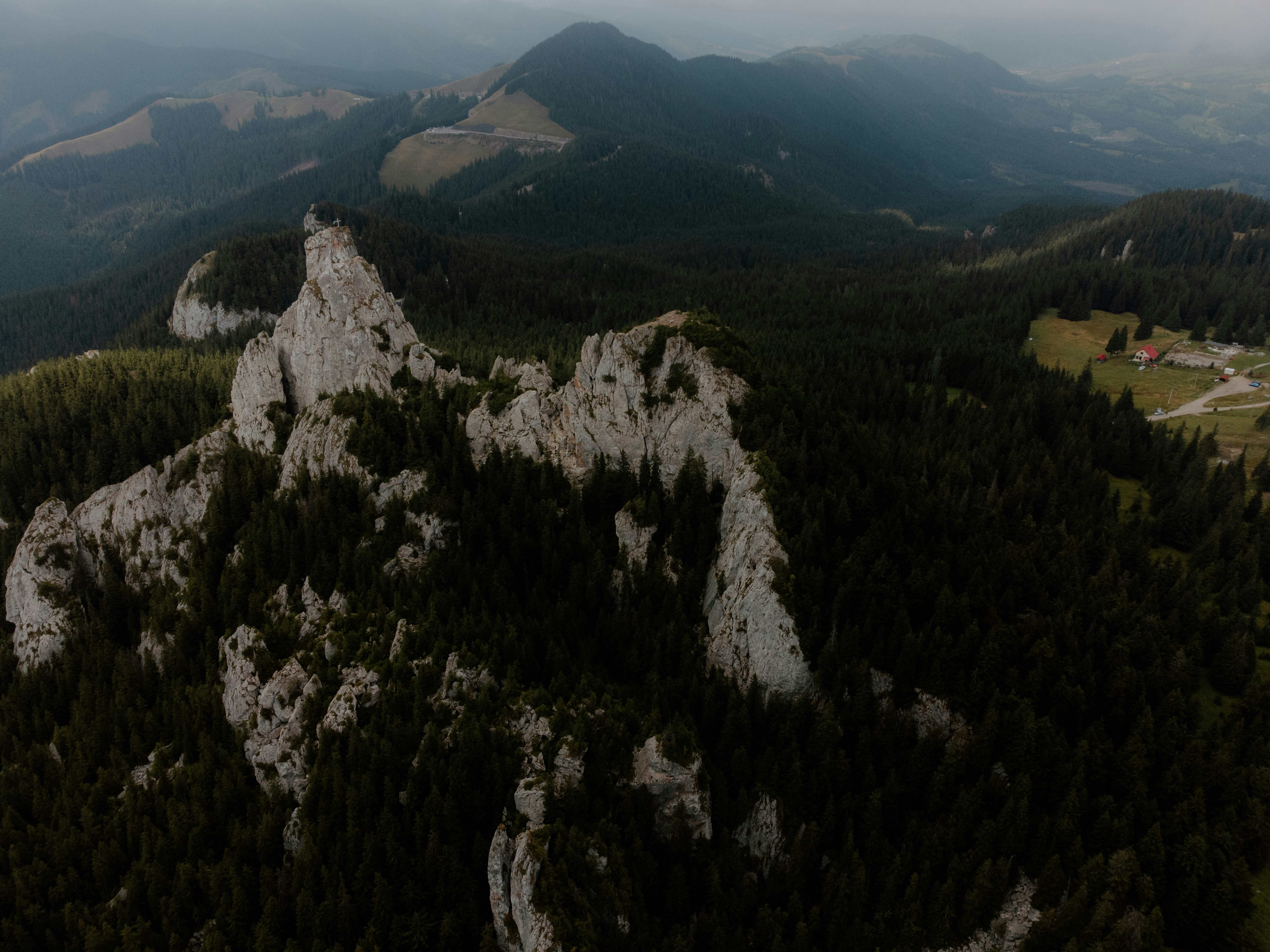 Photo by luisgherasim