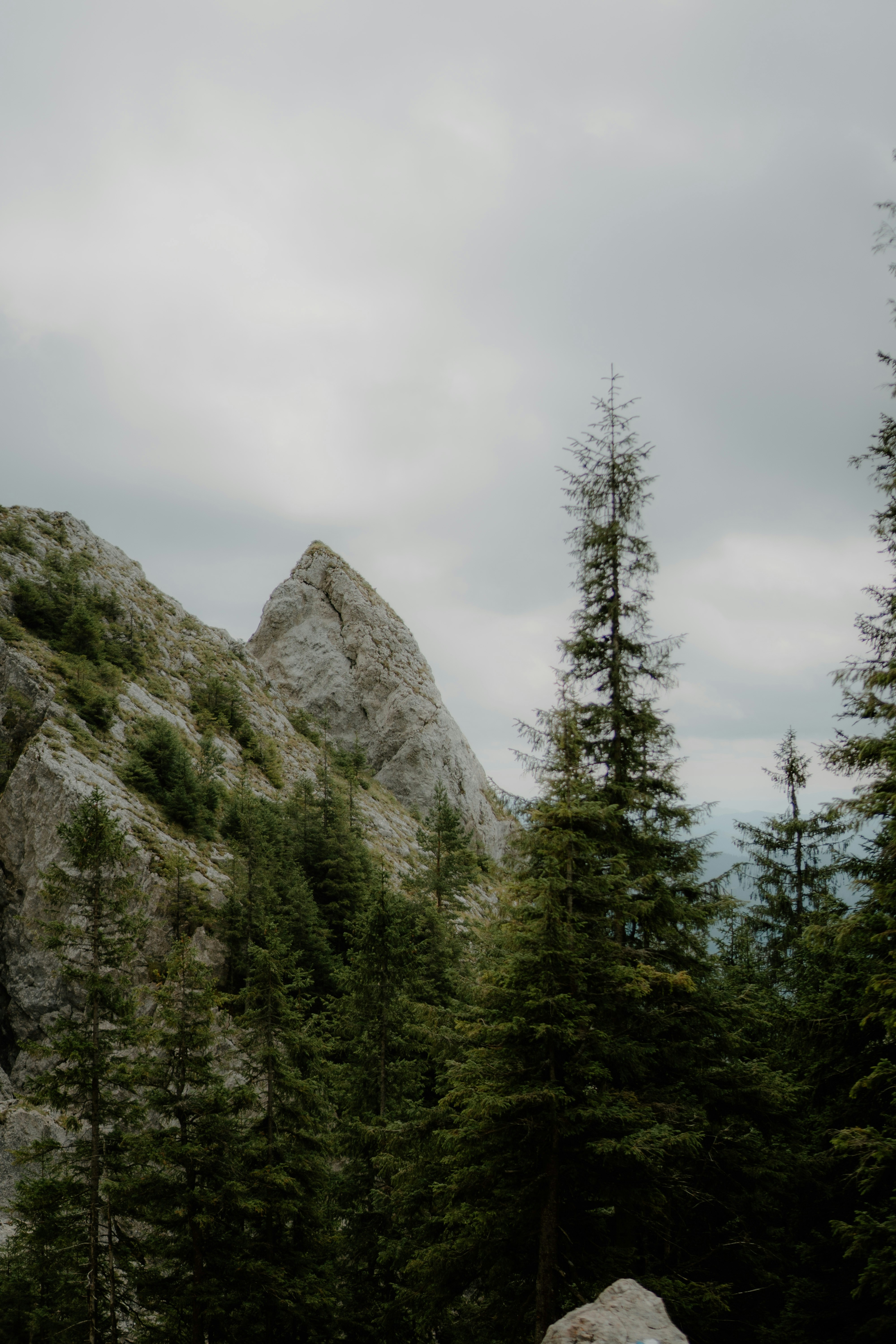 Photo by luisgherasim