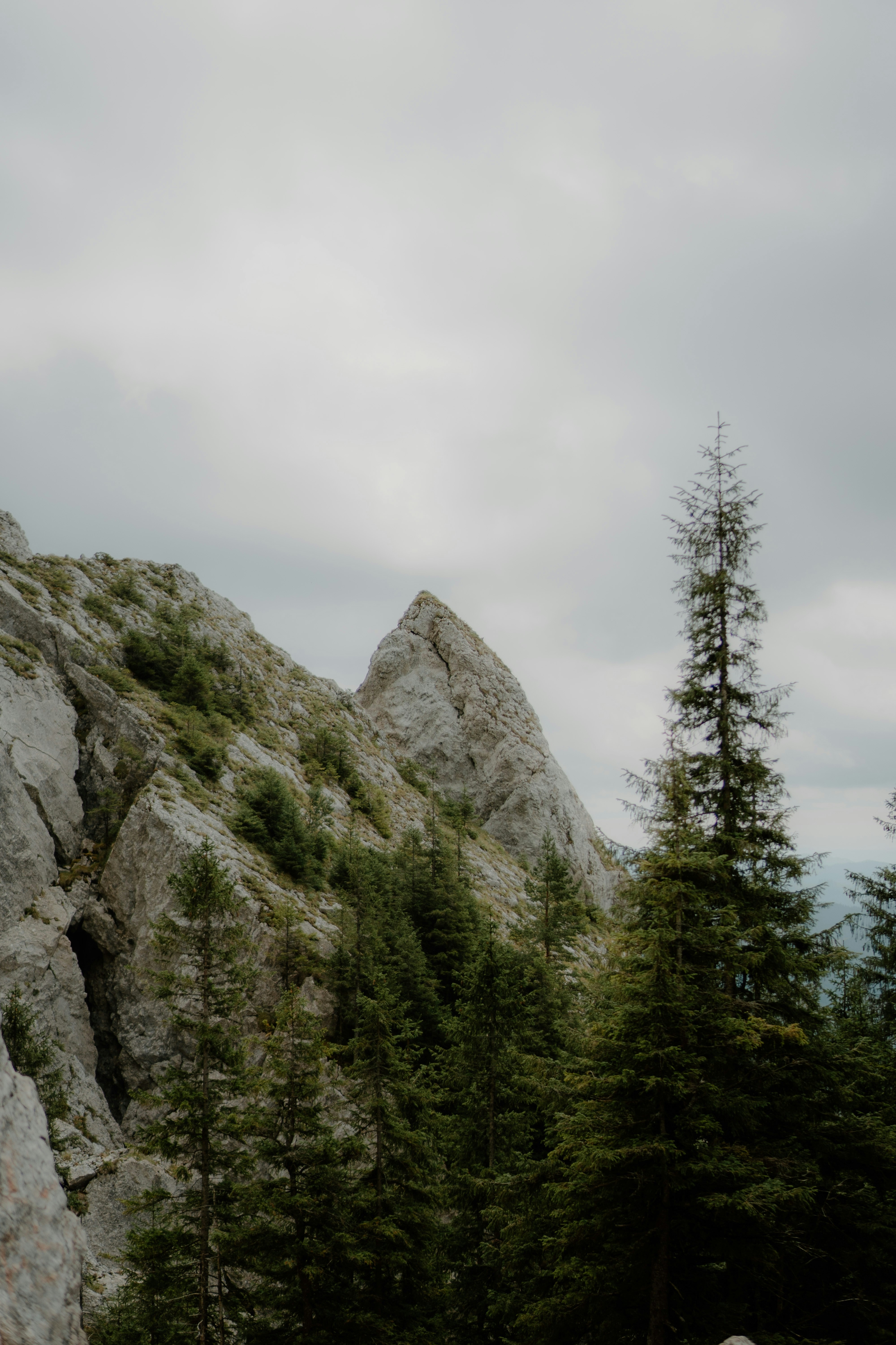 Photo by luisgherasim