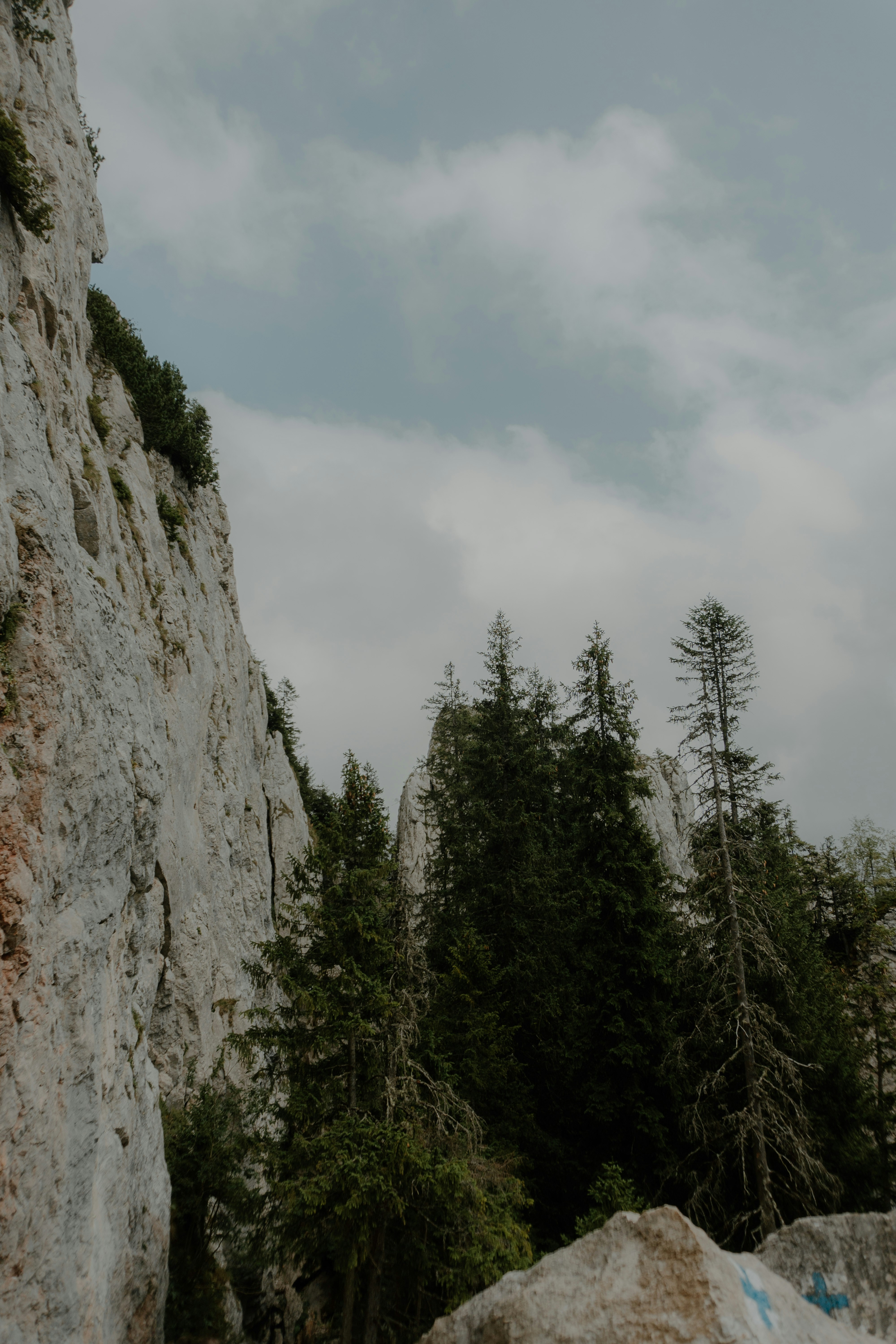 Photo by luisgherasim