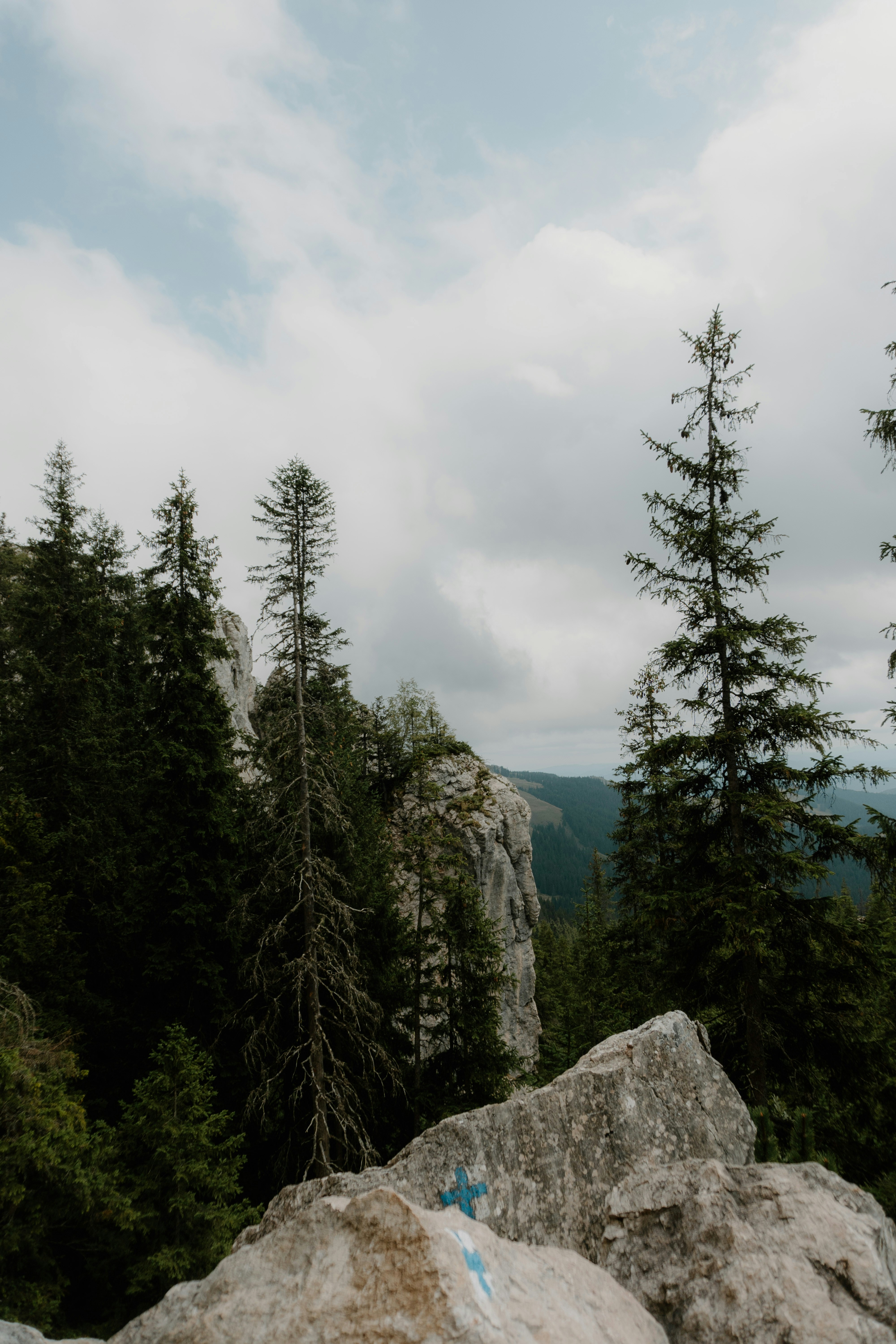 Photo by luisgherasim