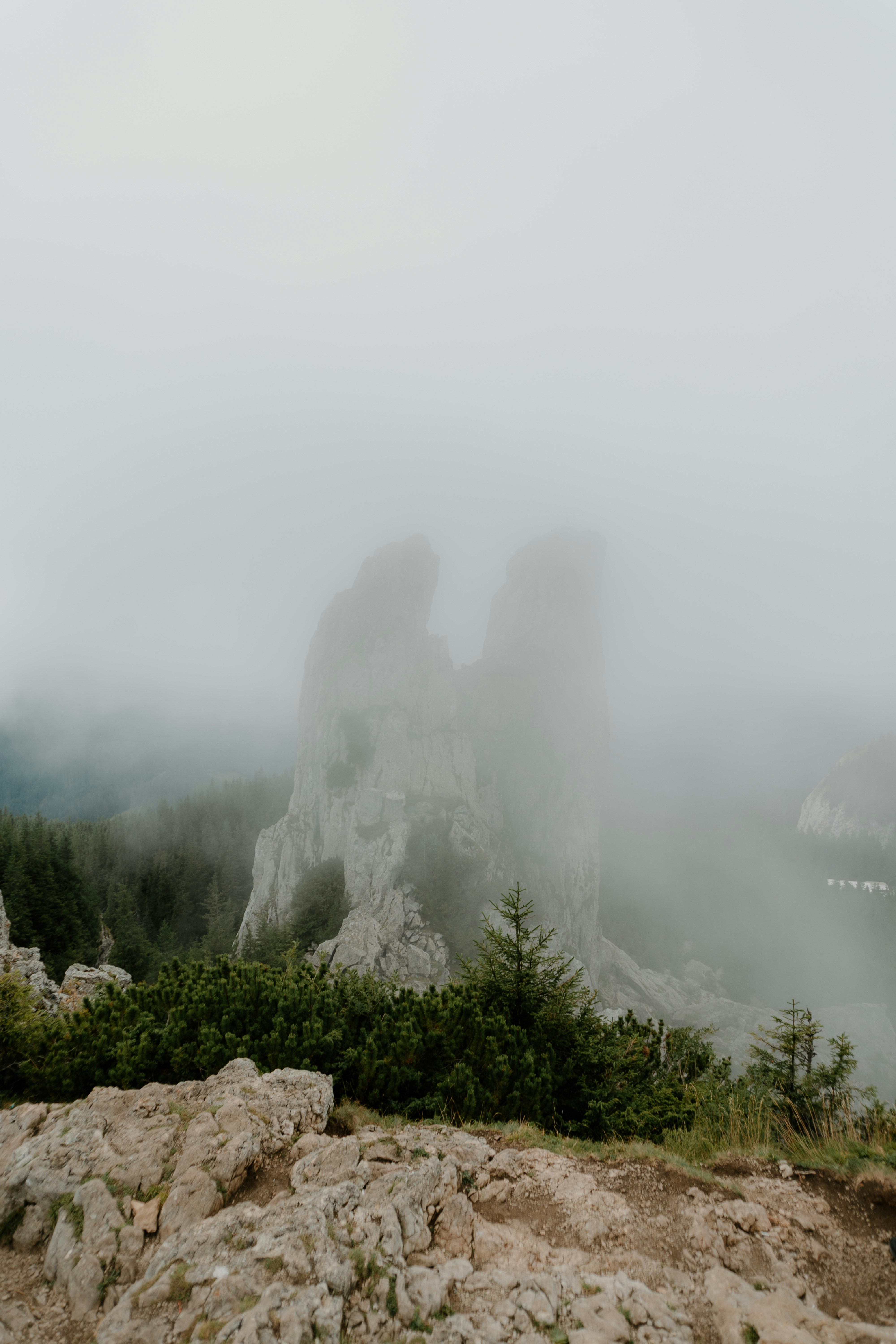 Photo by luisgherasim