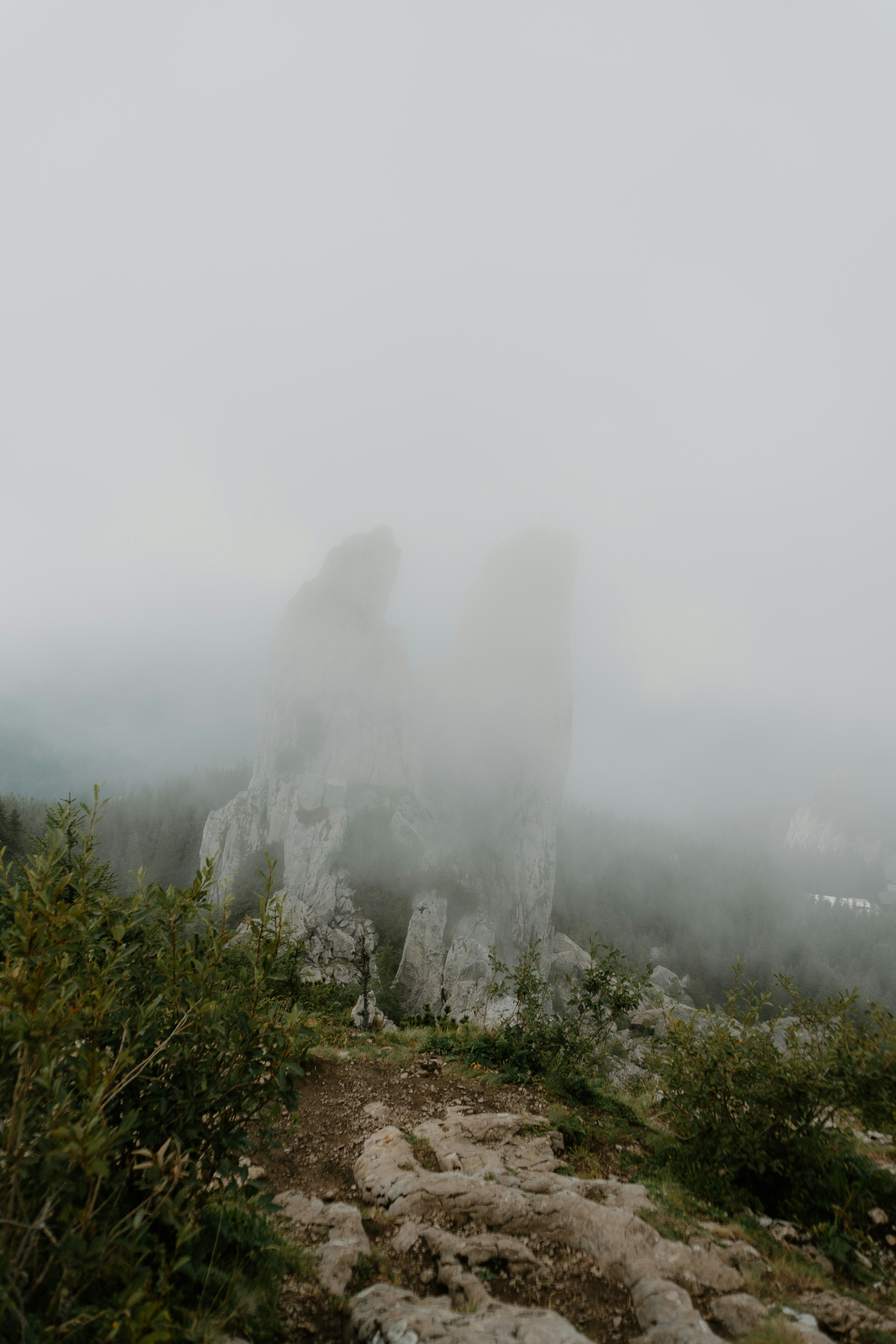 Photo by luisgherasim