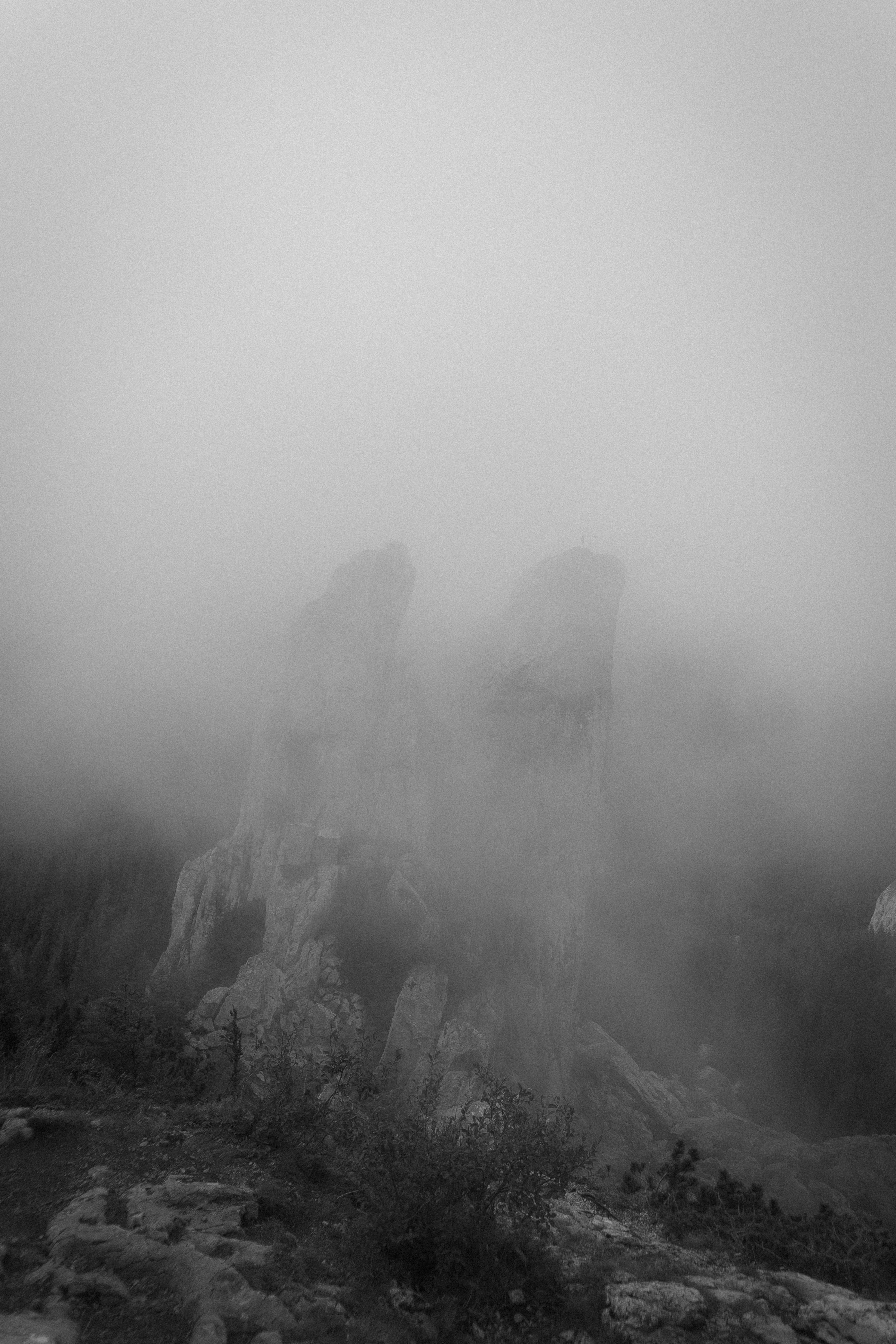 Photo by luisgherasim