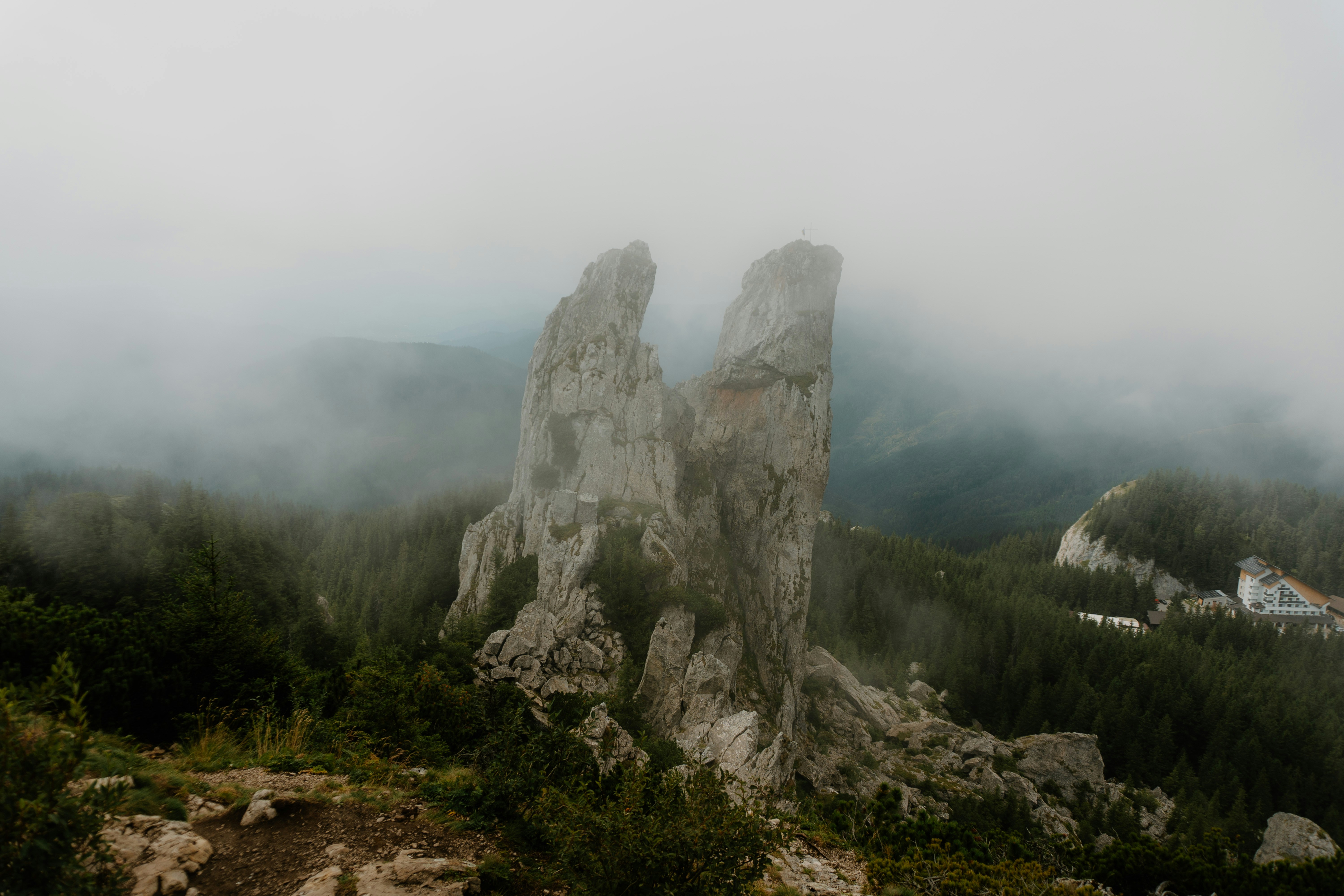 Photo by luisgherasim