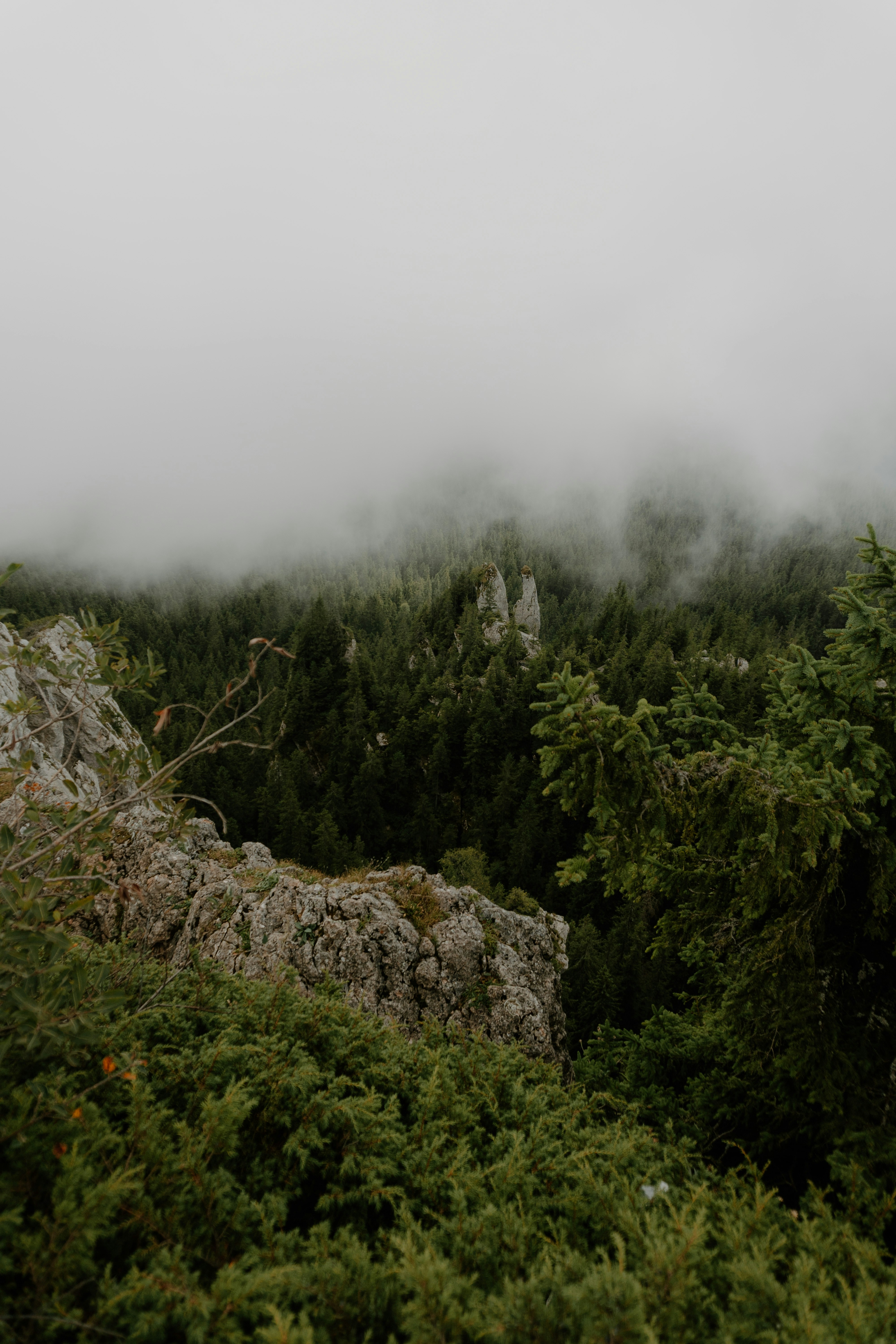 Photo by luisgherasim