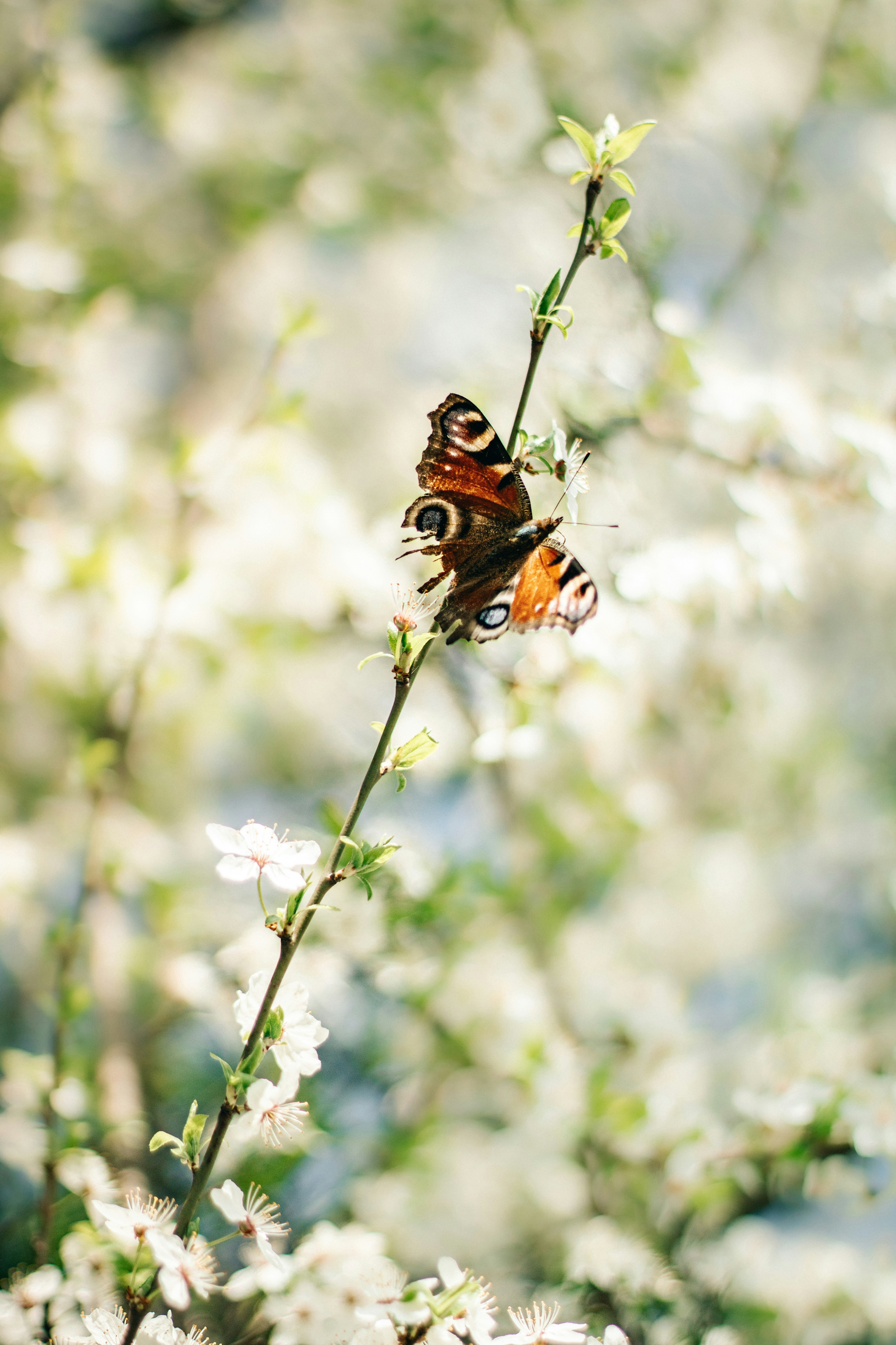 Photo by mineral_of_demon