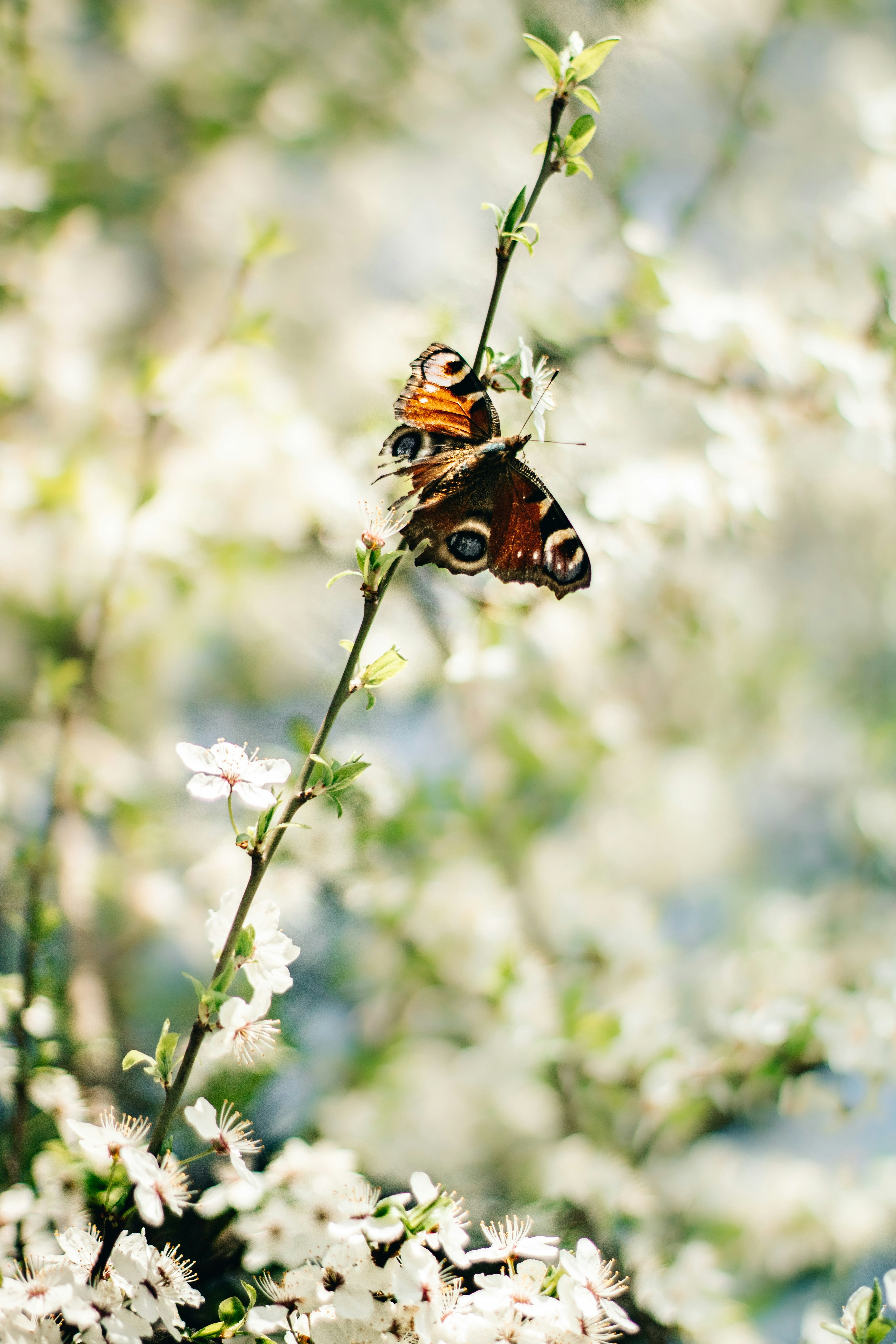 Photo by mineral_of_demon