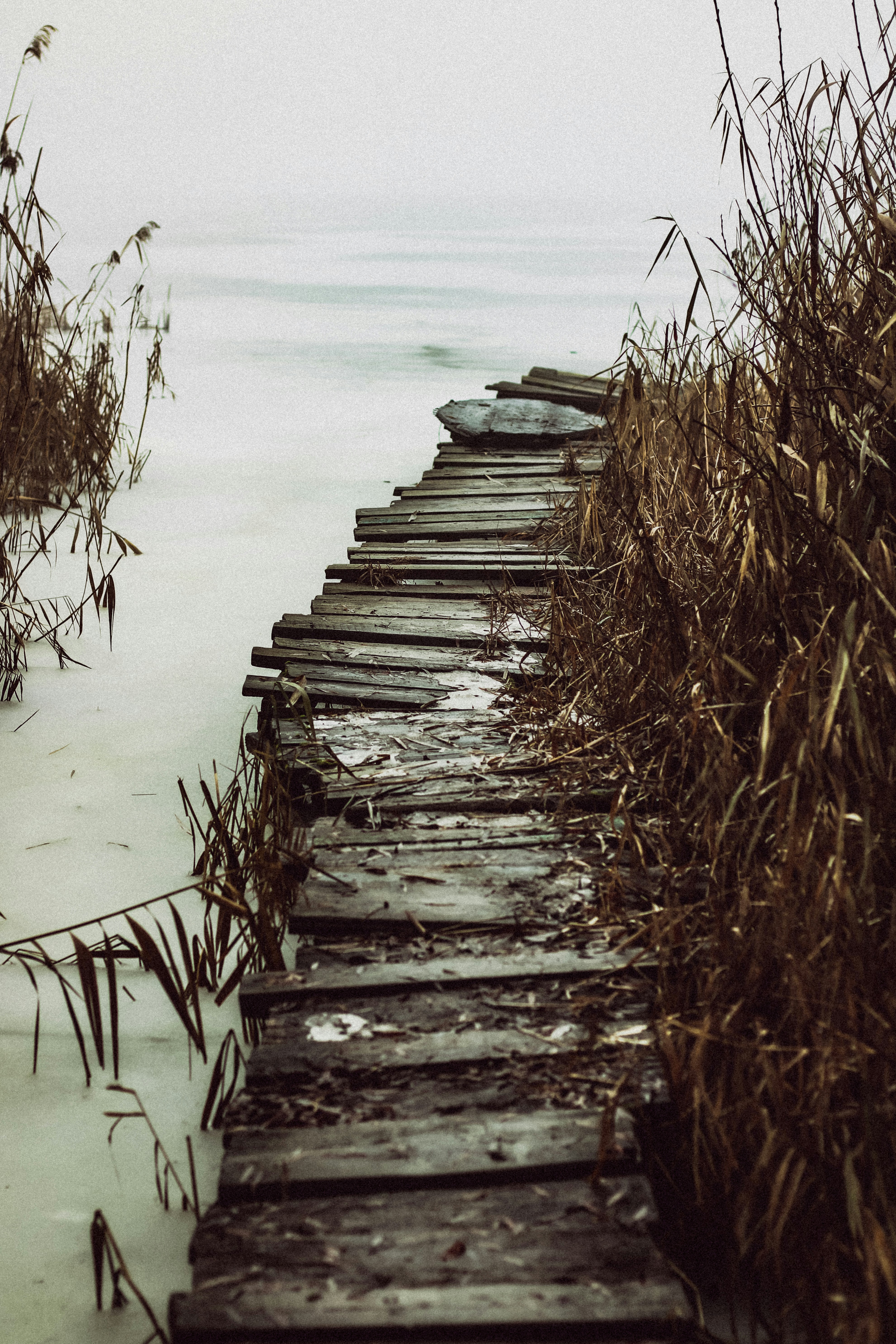 Photo by mineral_of_demon