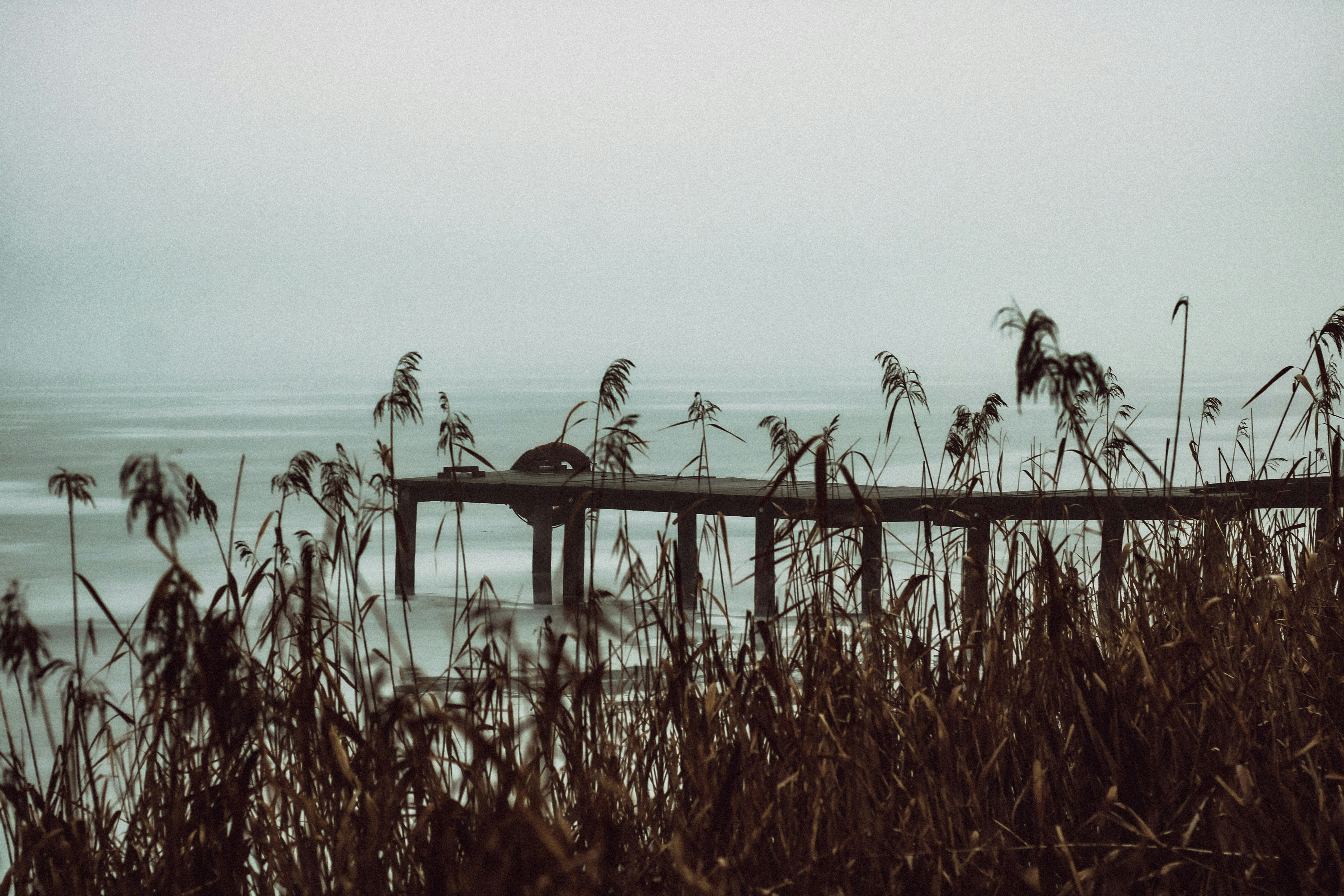 Photo by mineral_of_demon