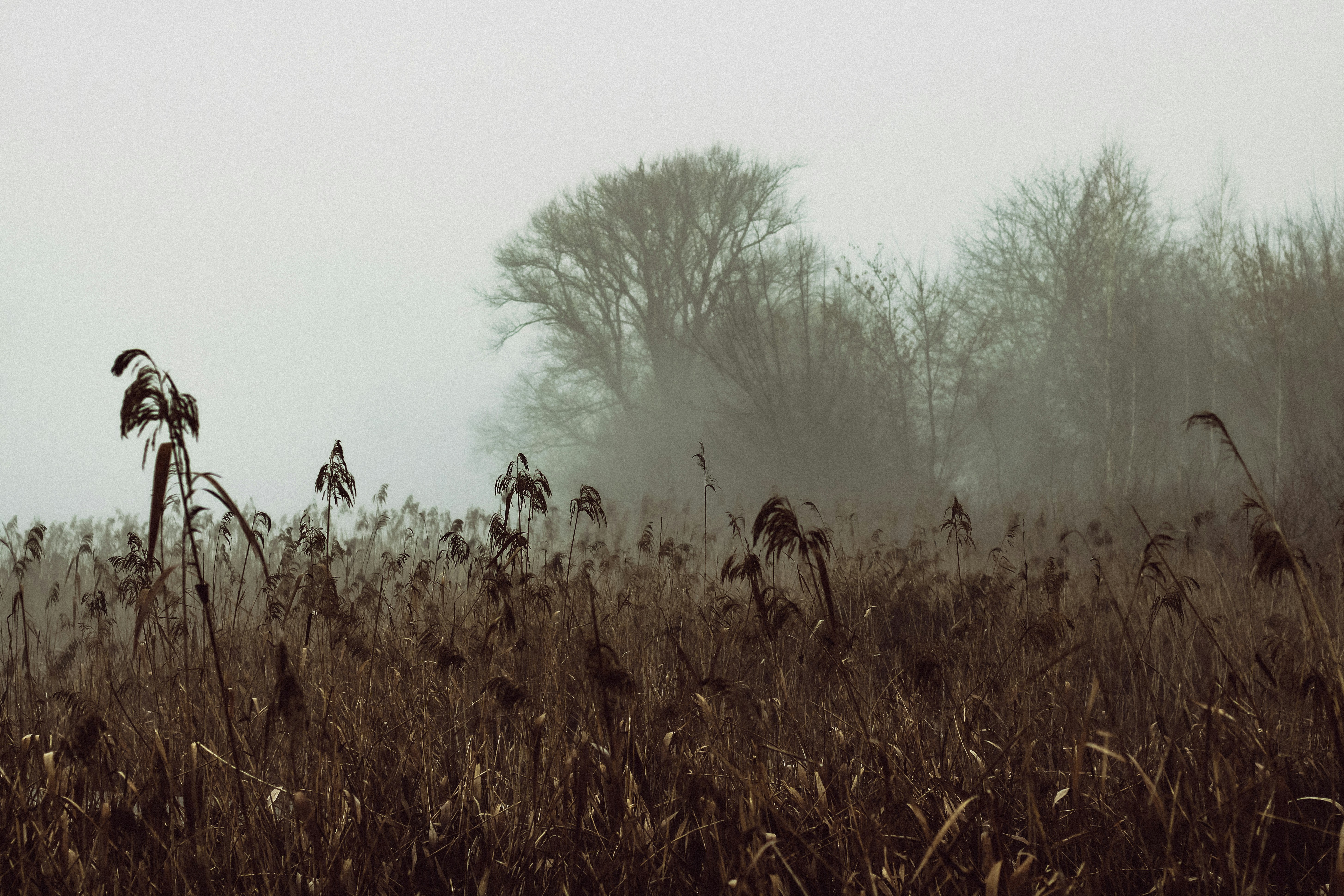 Photo by mineral_of_demon