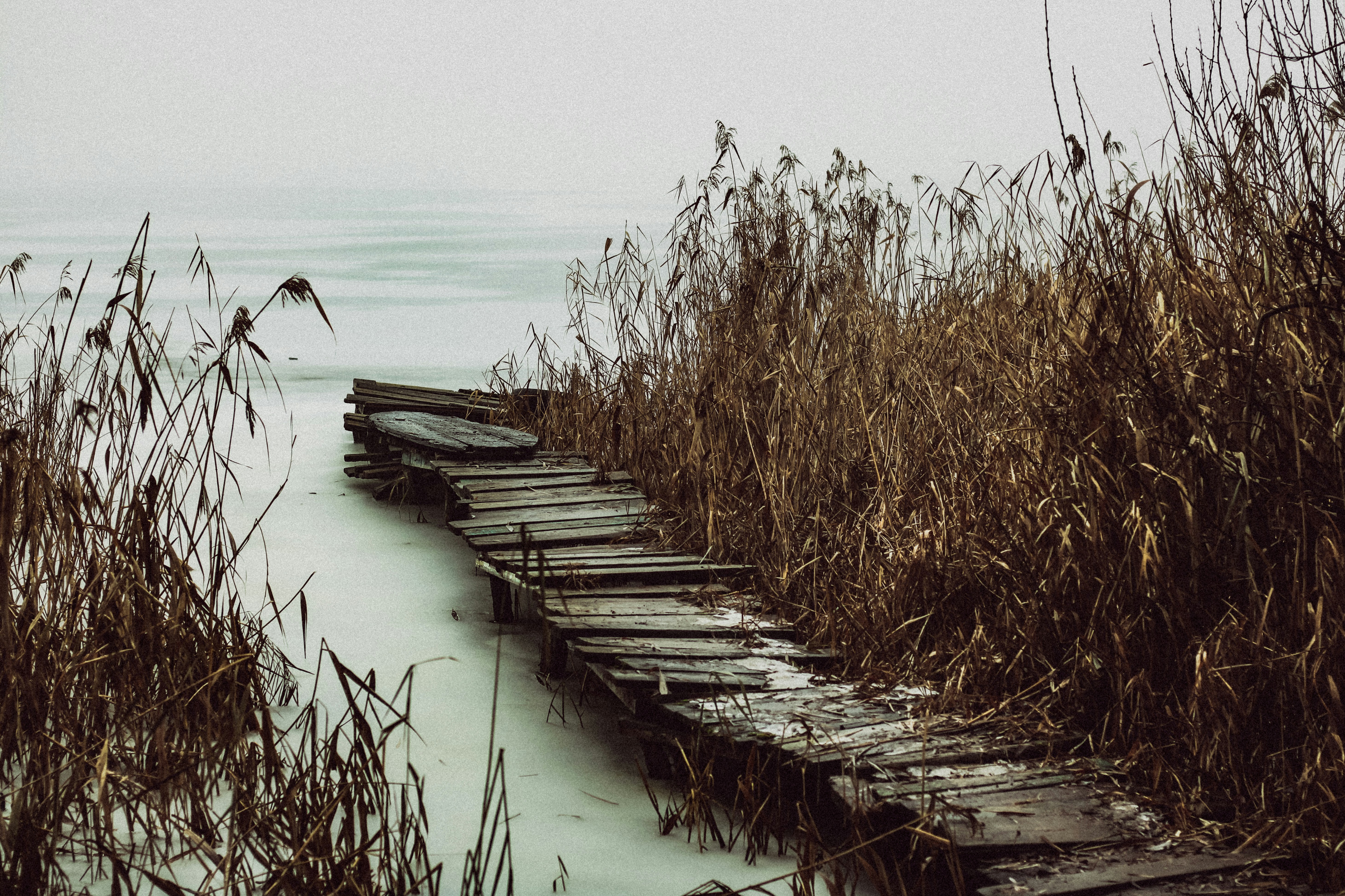 Photo by mineral_of_demon