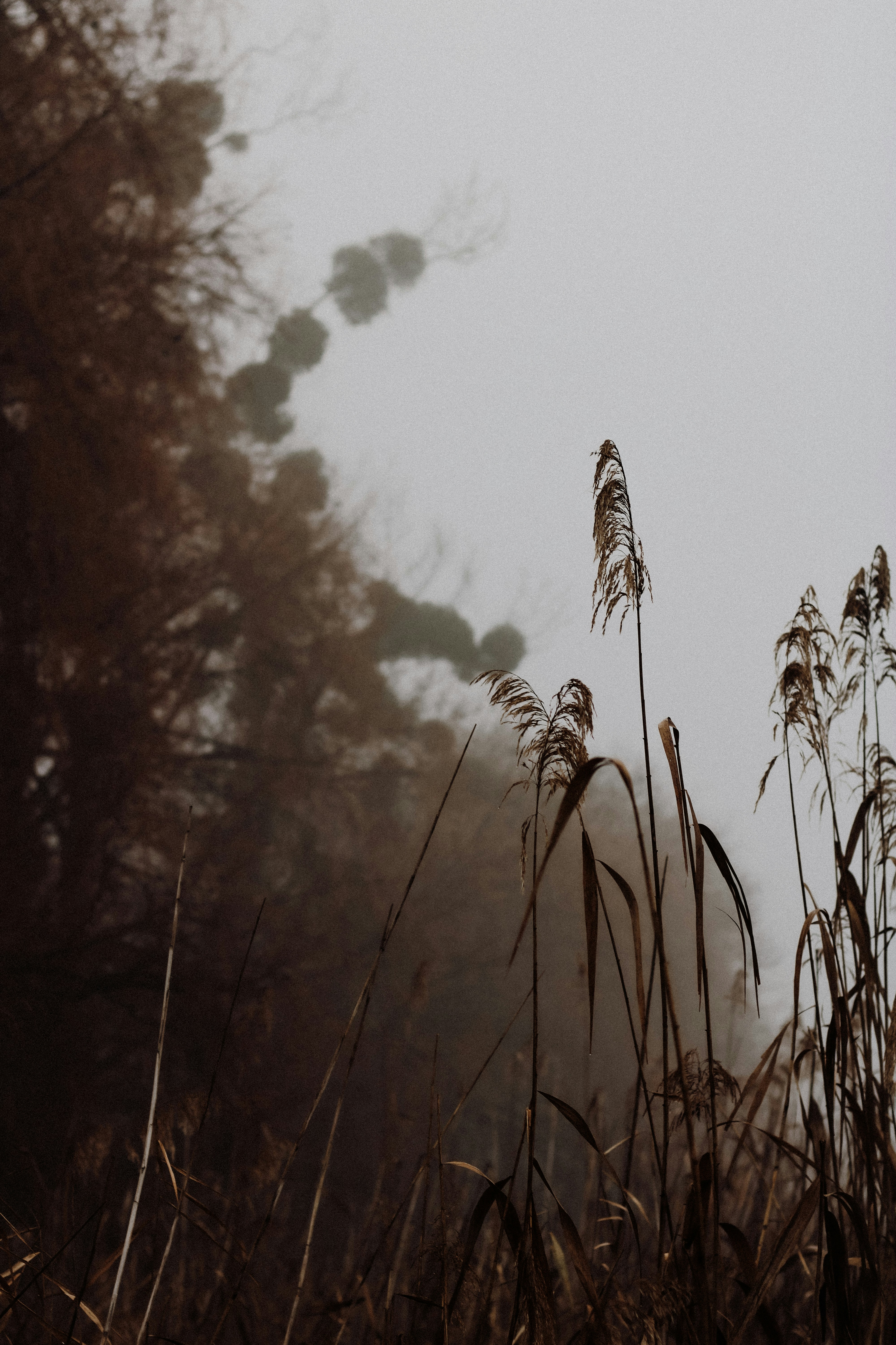 Photo by mineral_of_demon