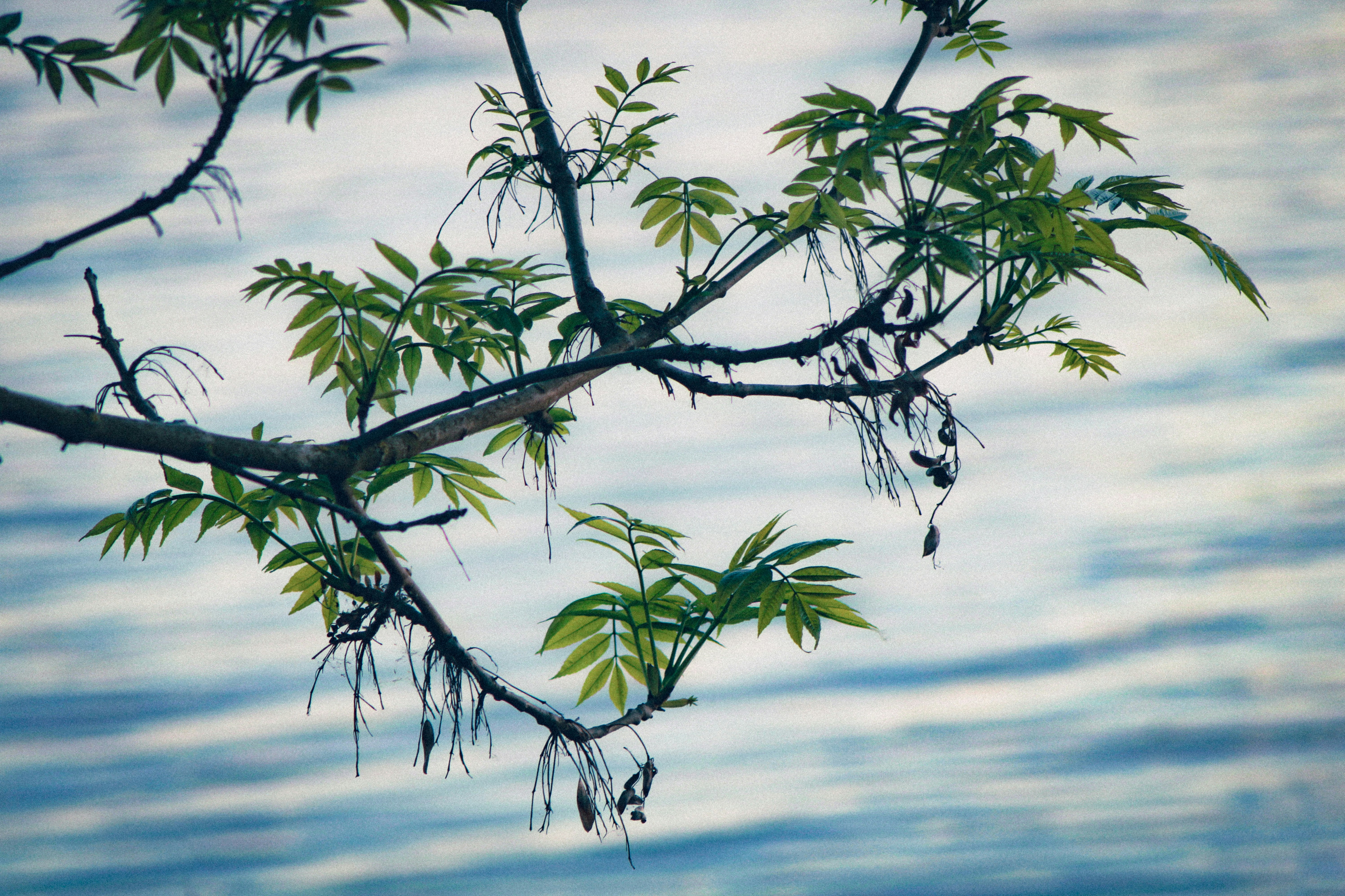 Photo by mineral_of_demon