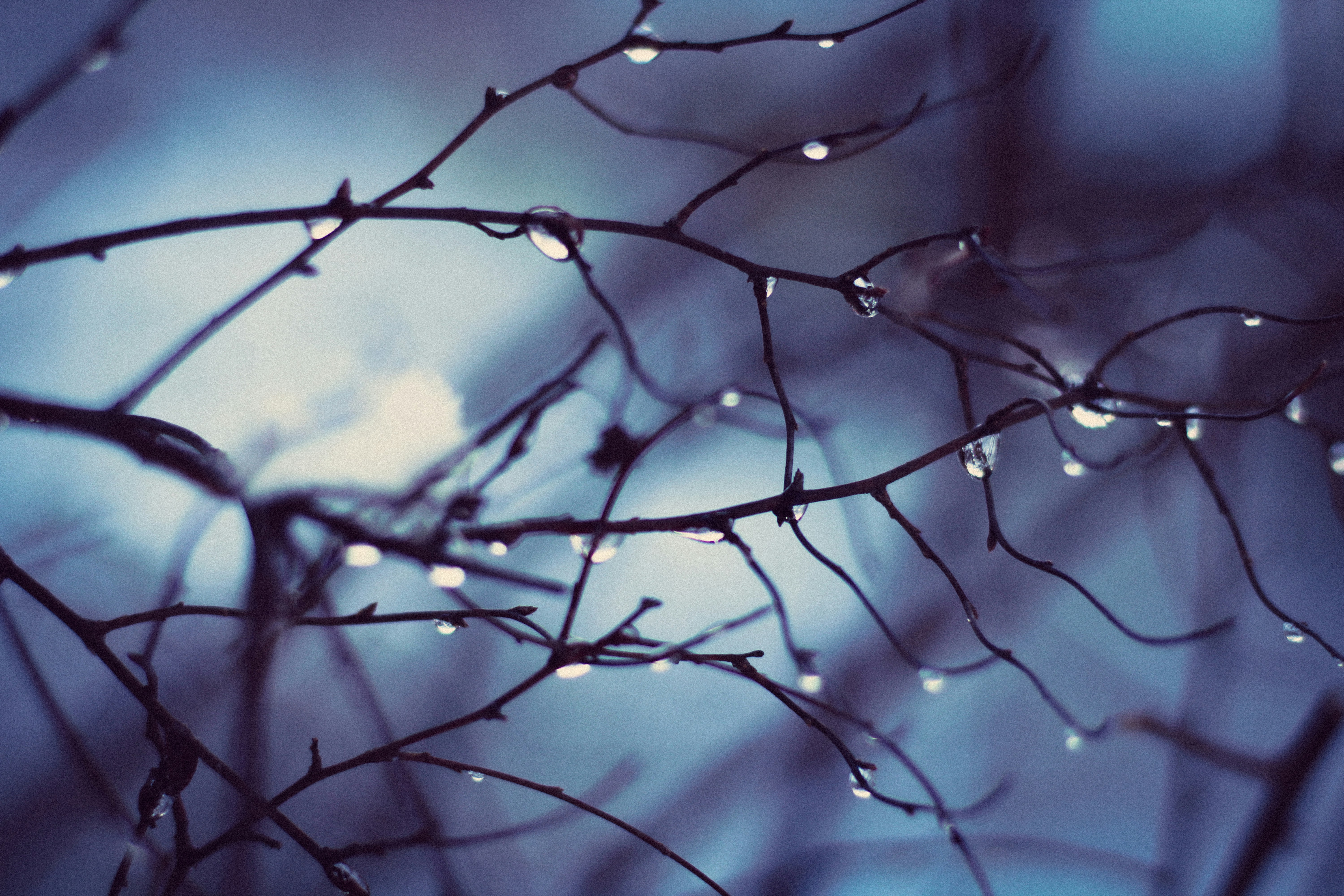 Photo by mineral_of_demon