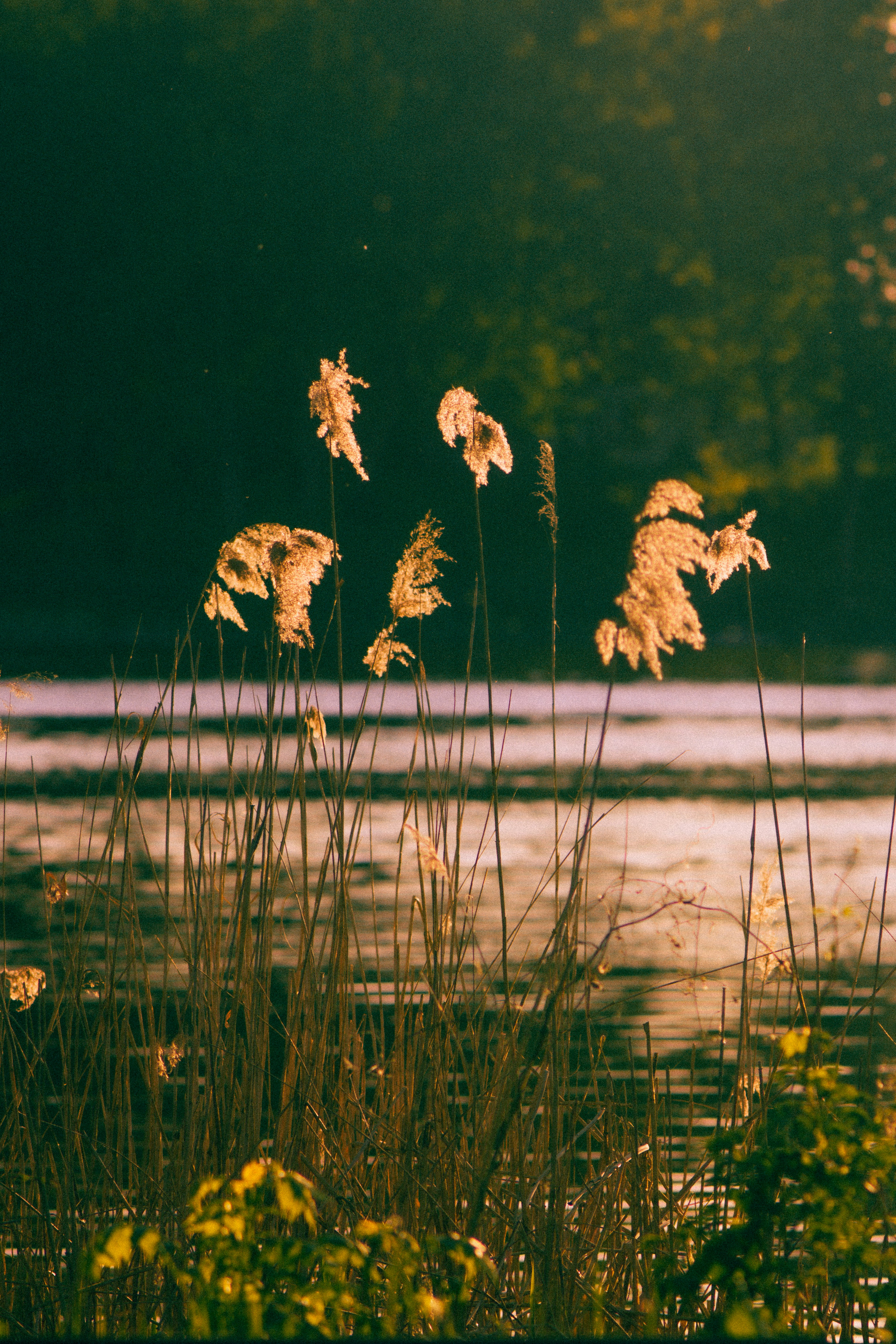 Photo by mineral_of_demon