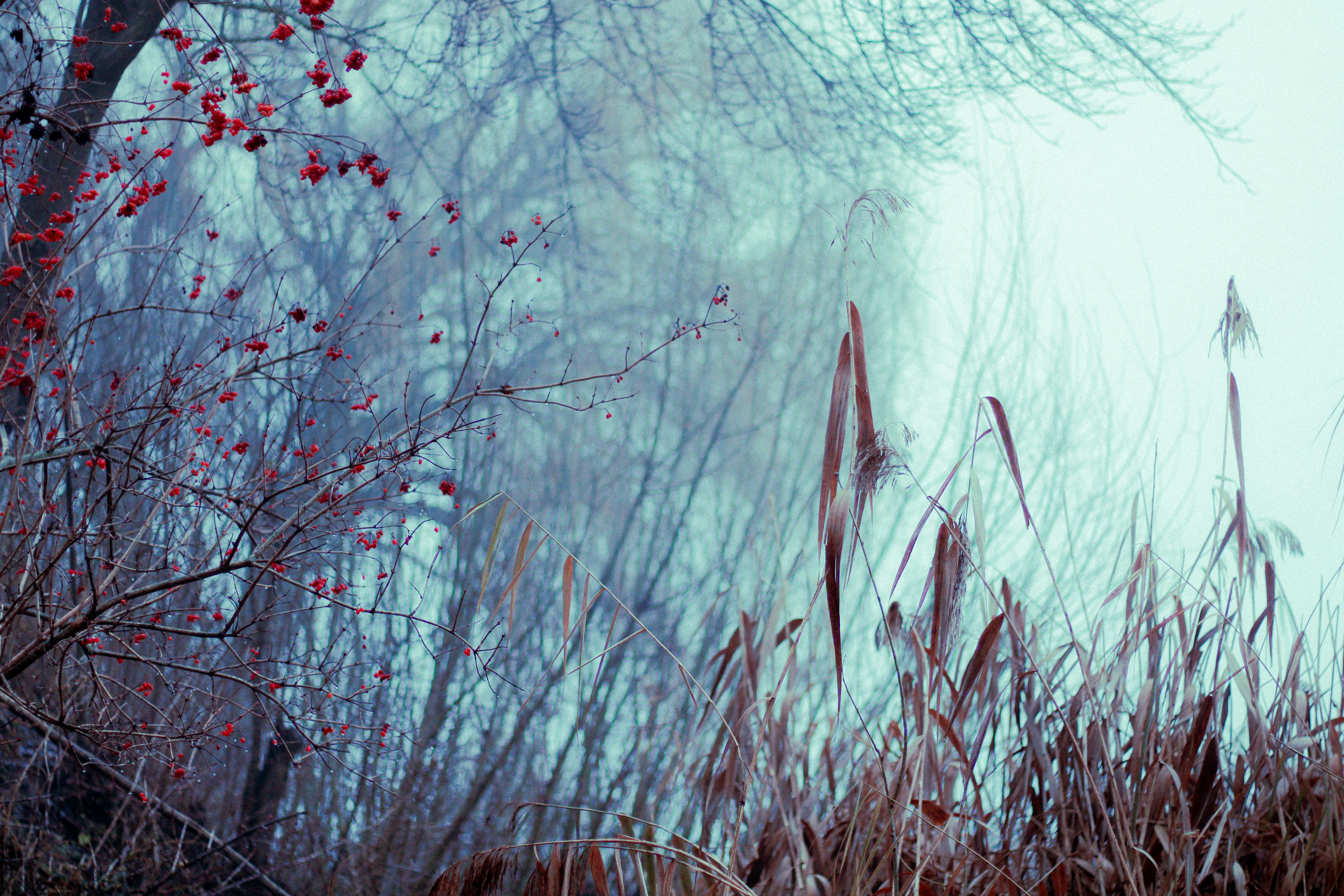 Photo by mineral_of_demon