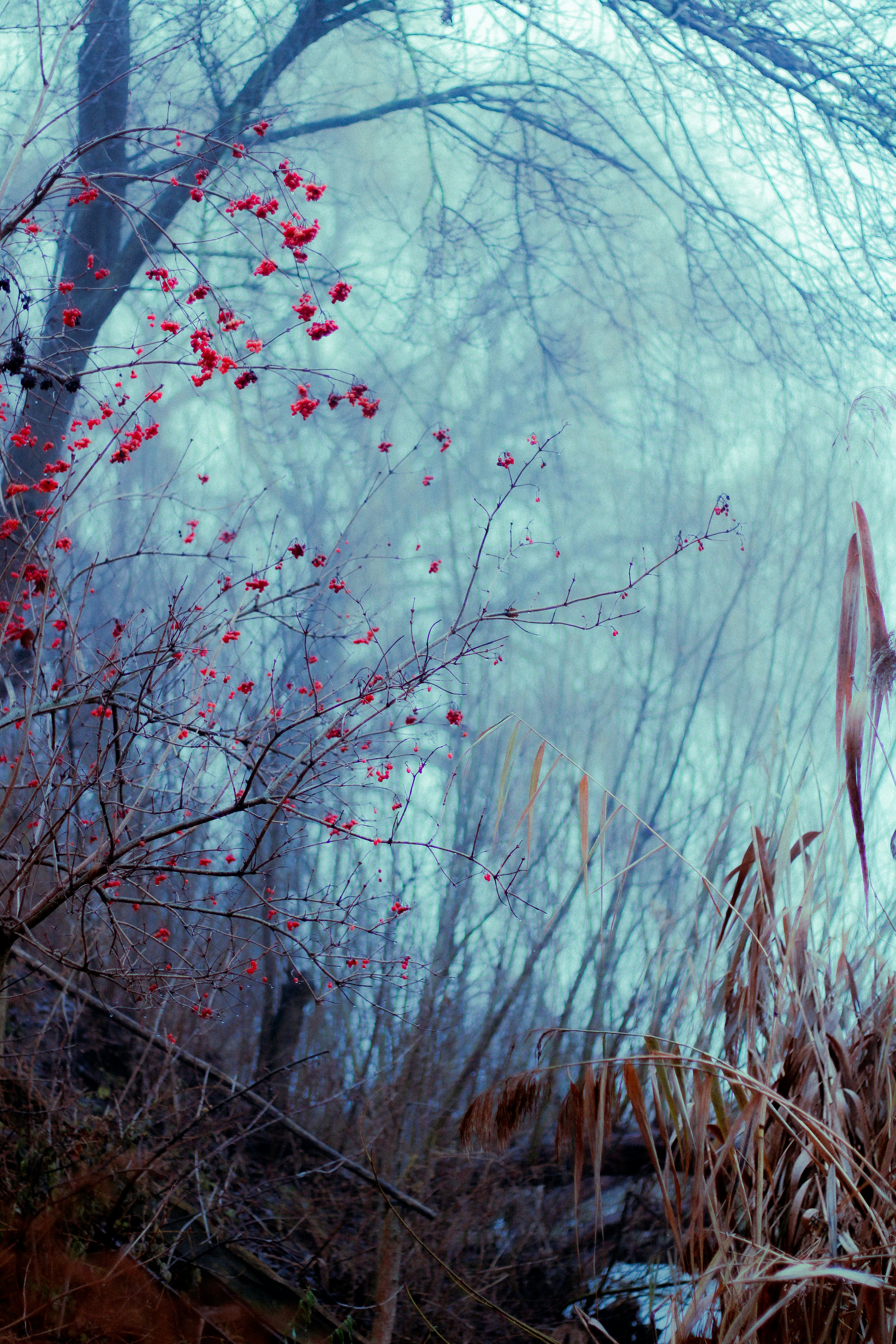 Photo by mineral_of_demon