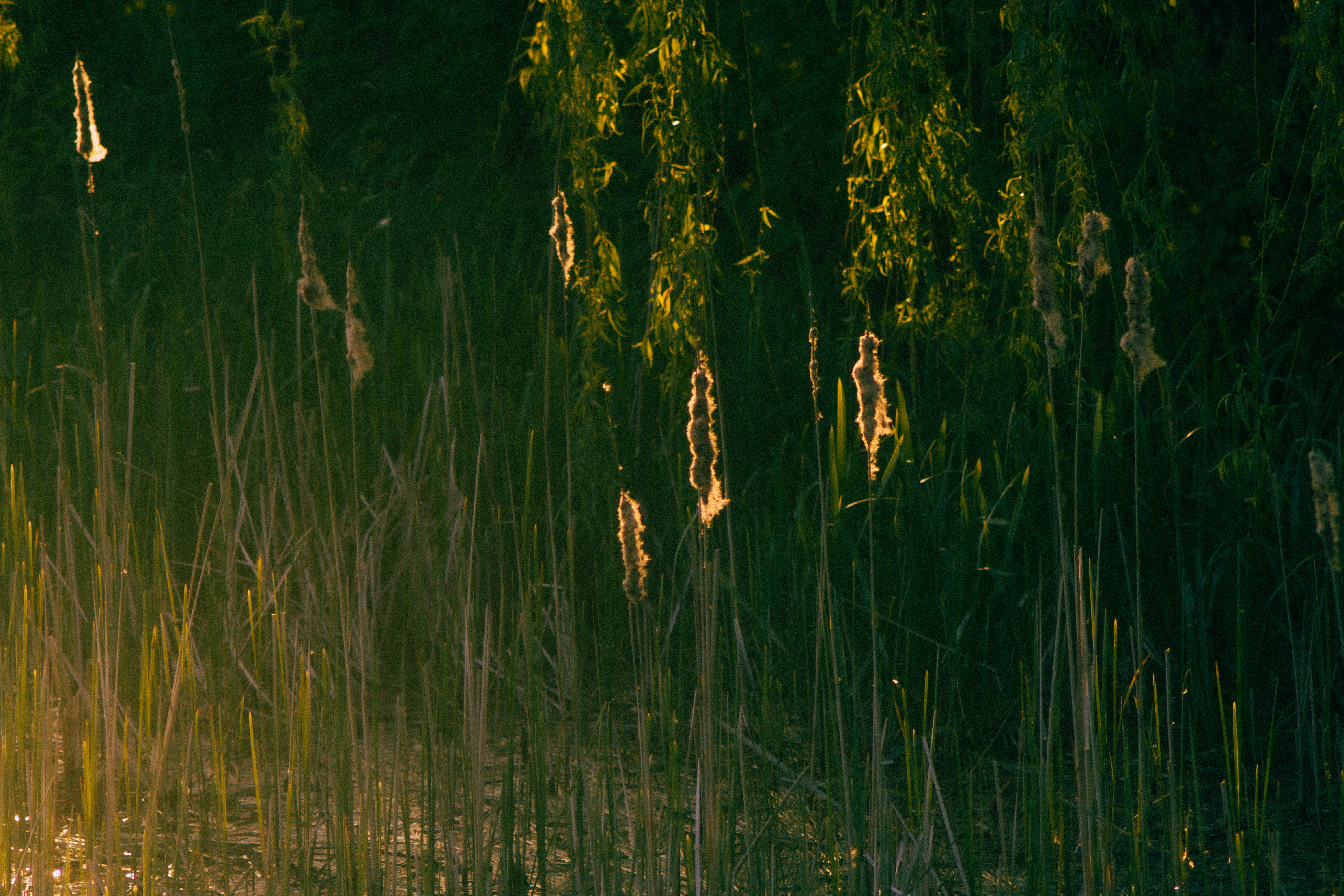 Photo by mineral_of_demon