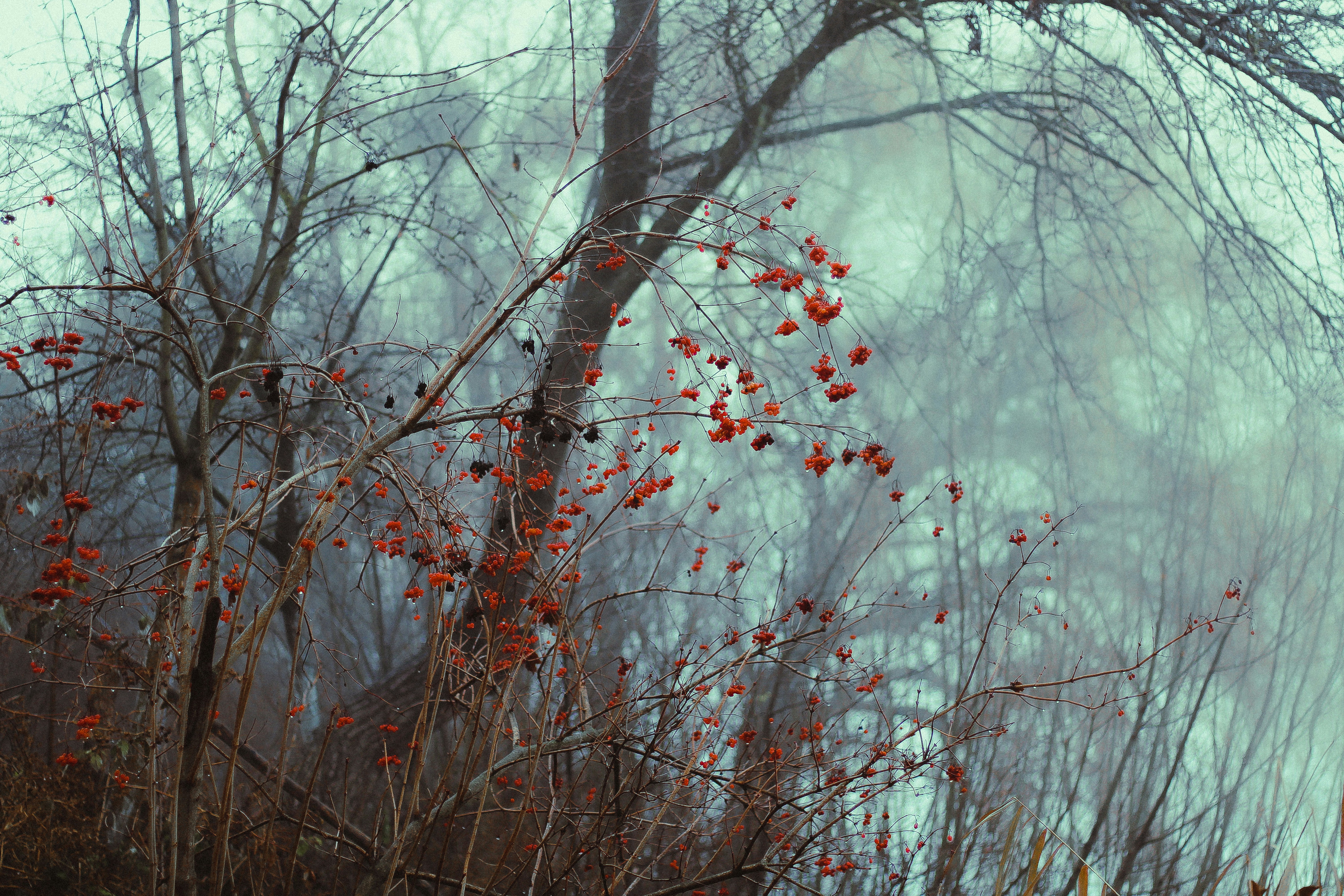 Photo by mineral_of_demon