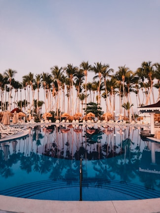 A swimming pool surrounded by palm trees in a resort