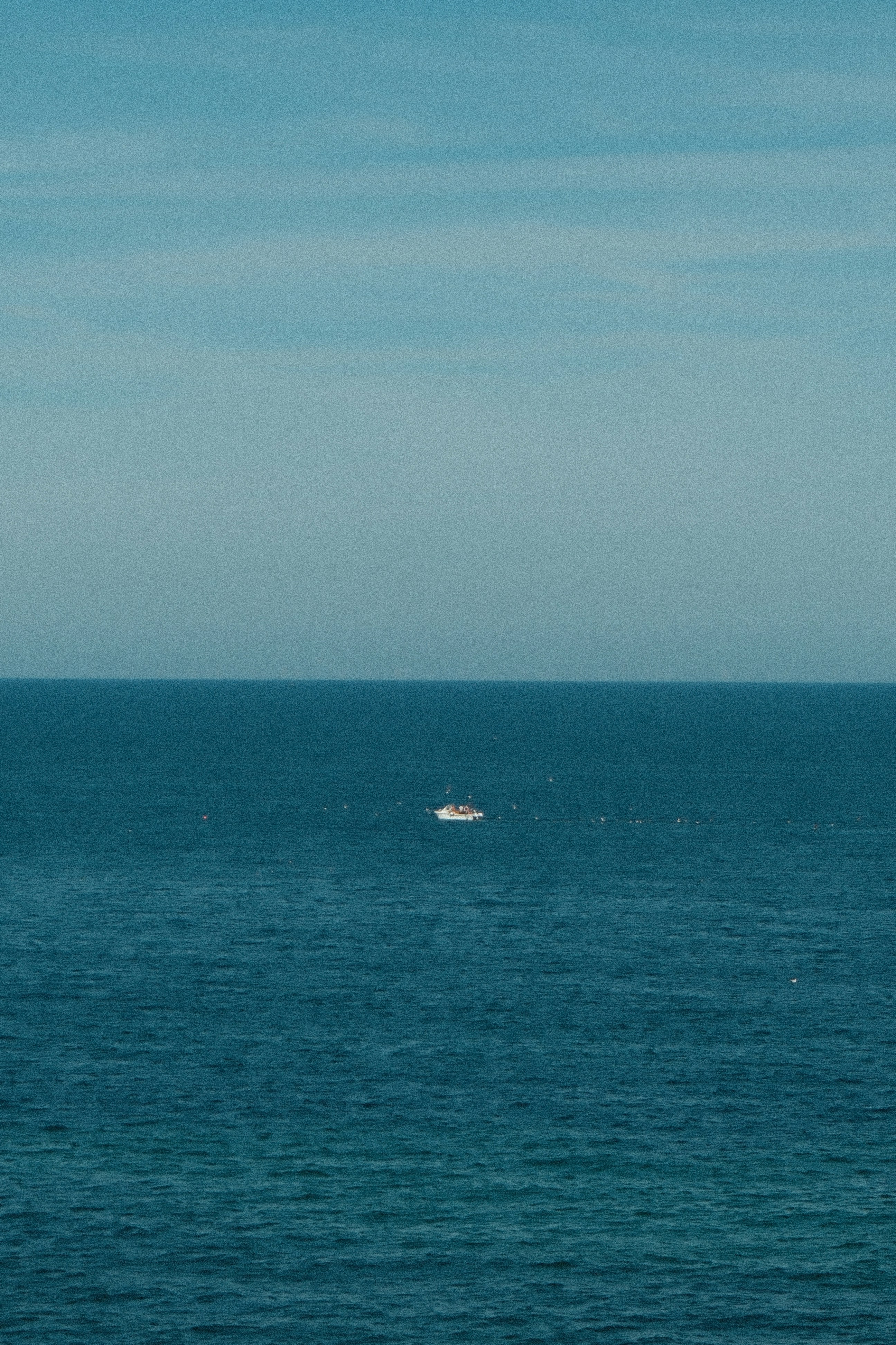 Photo by harryborrettphotography