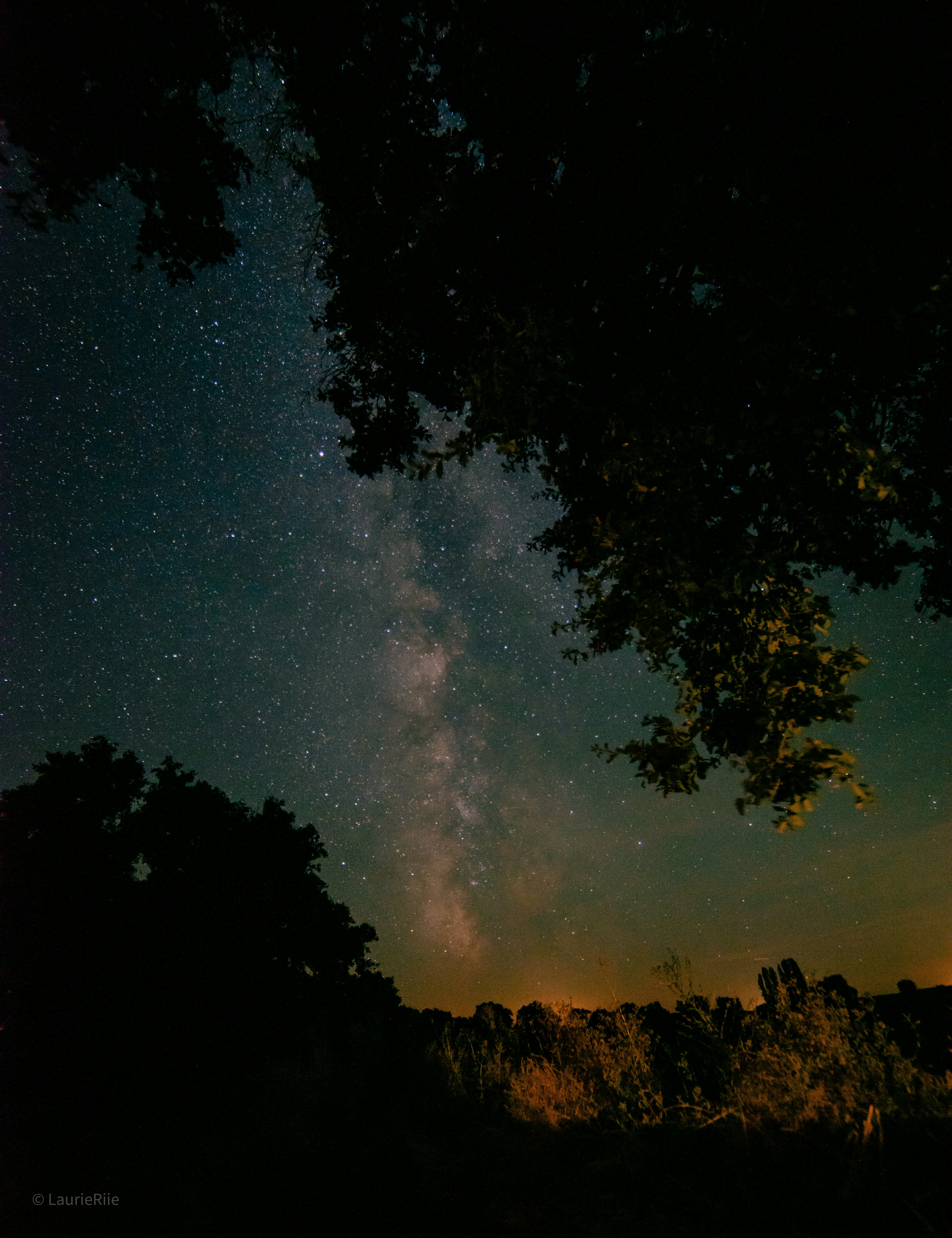 Photo by laurieriiejr