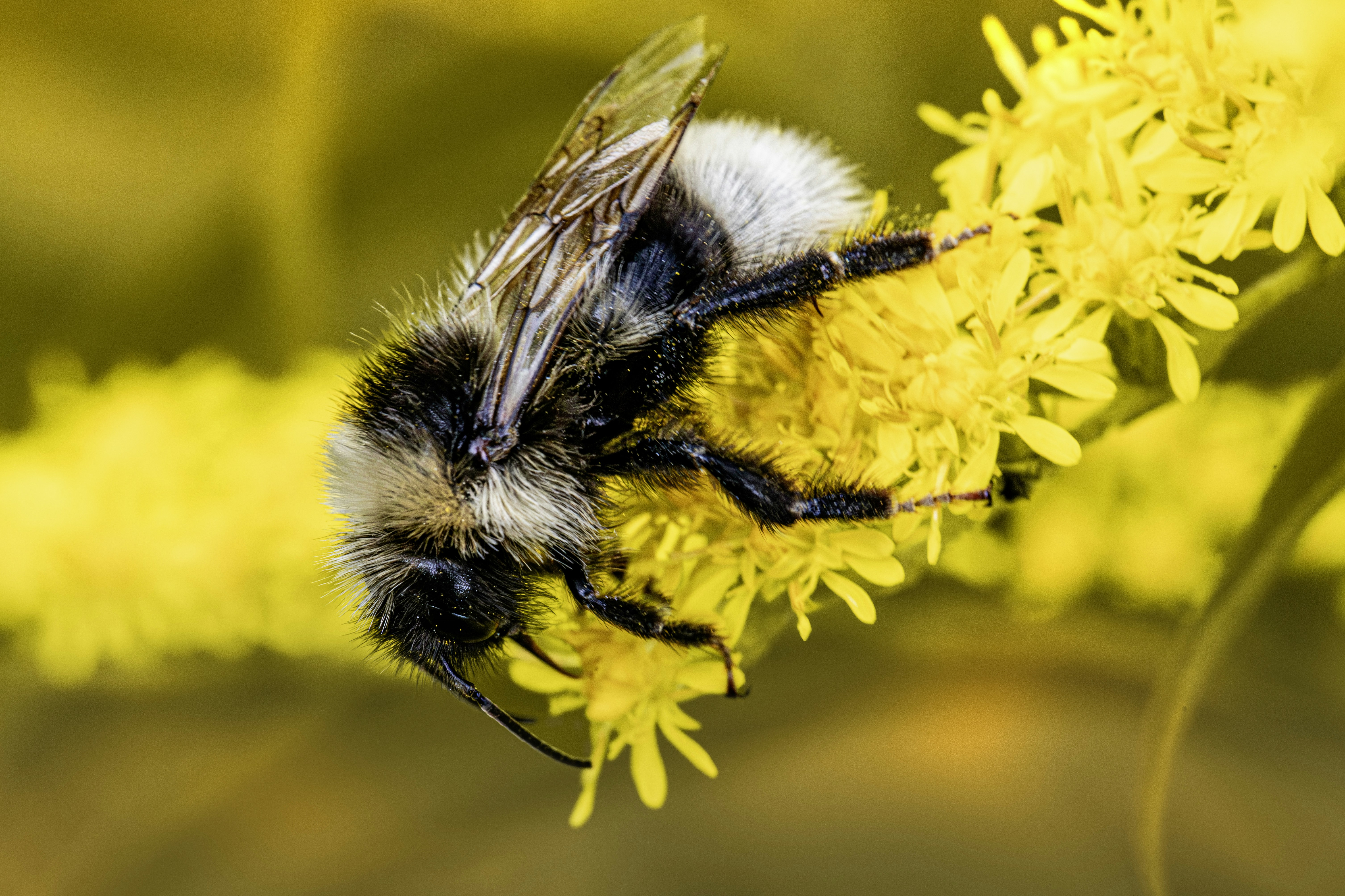 Photo by erik_karits