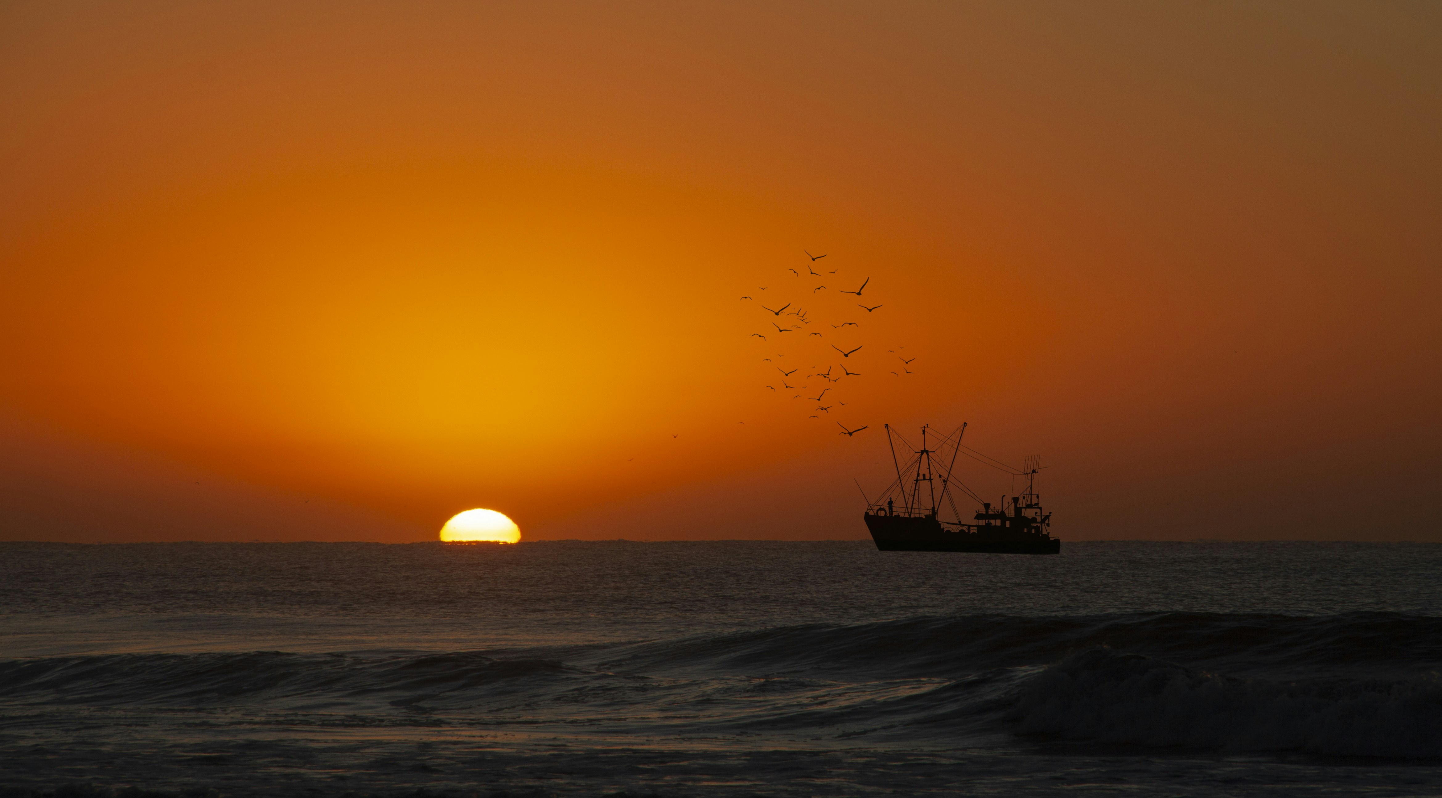 Photo by quid_art_2024