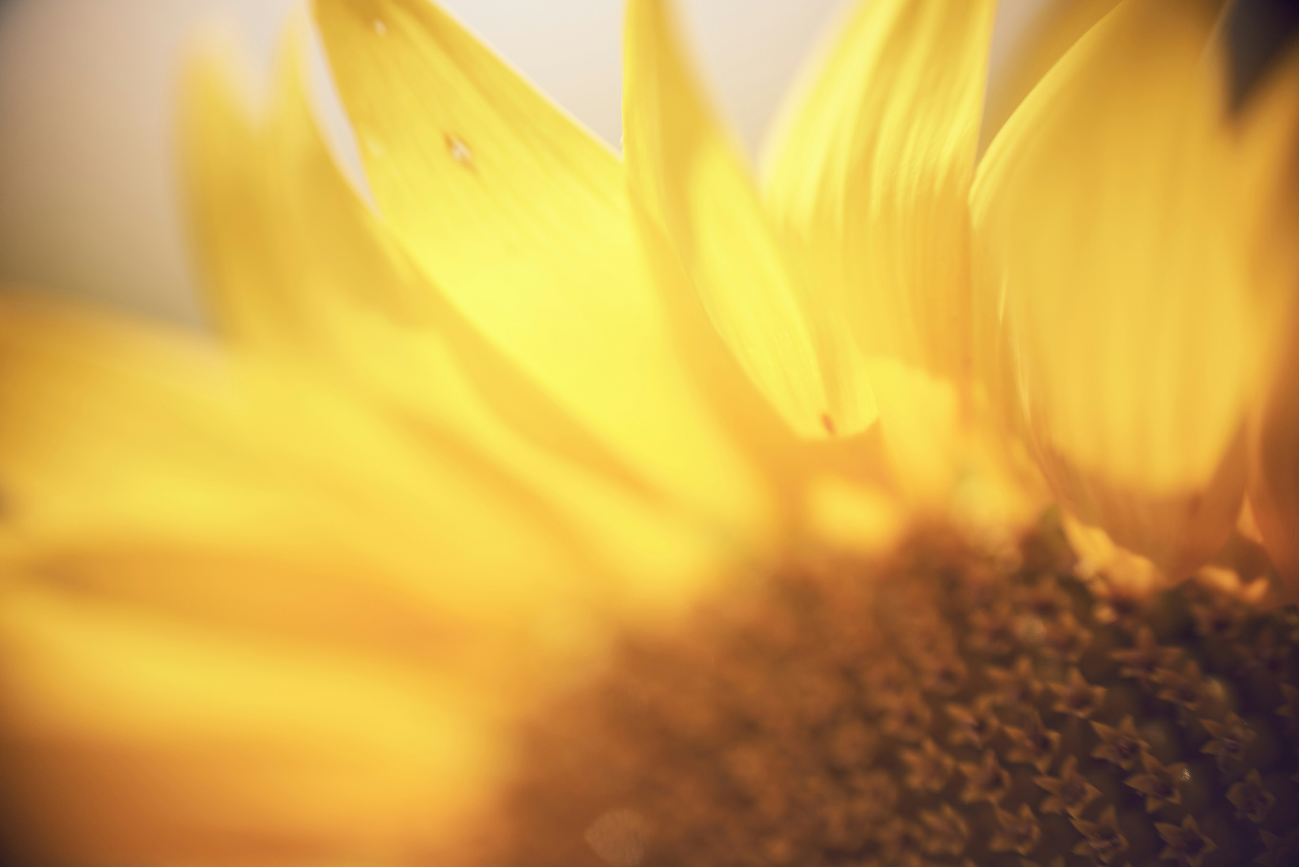 Photo by norajanelong