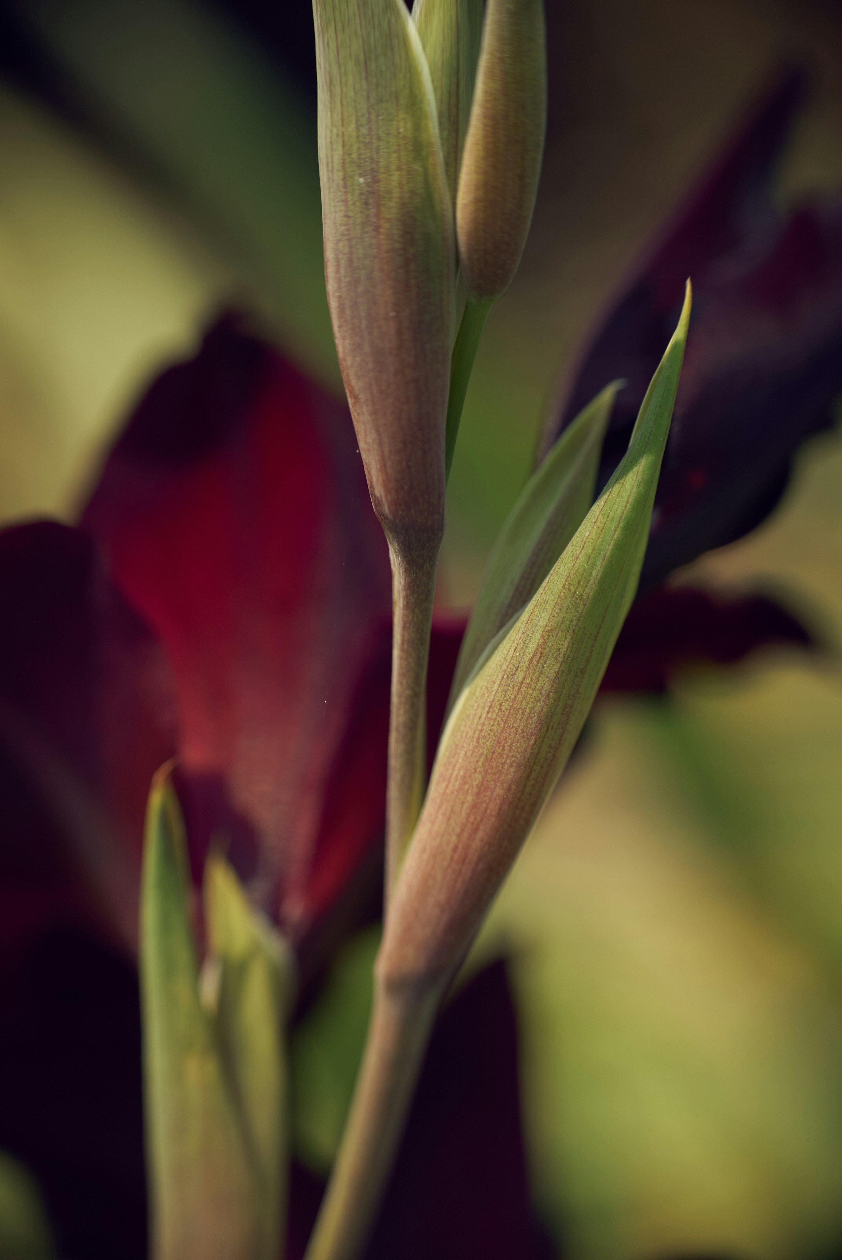 Photo by norajanelong