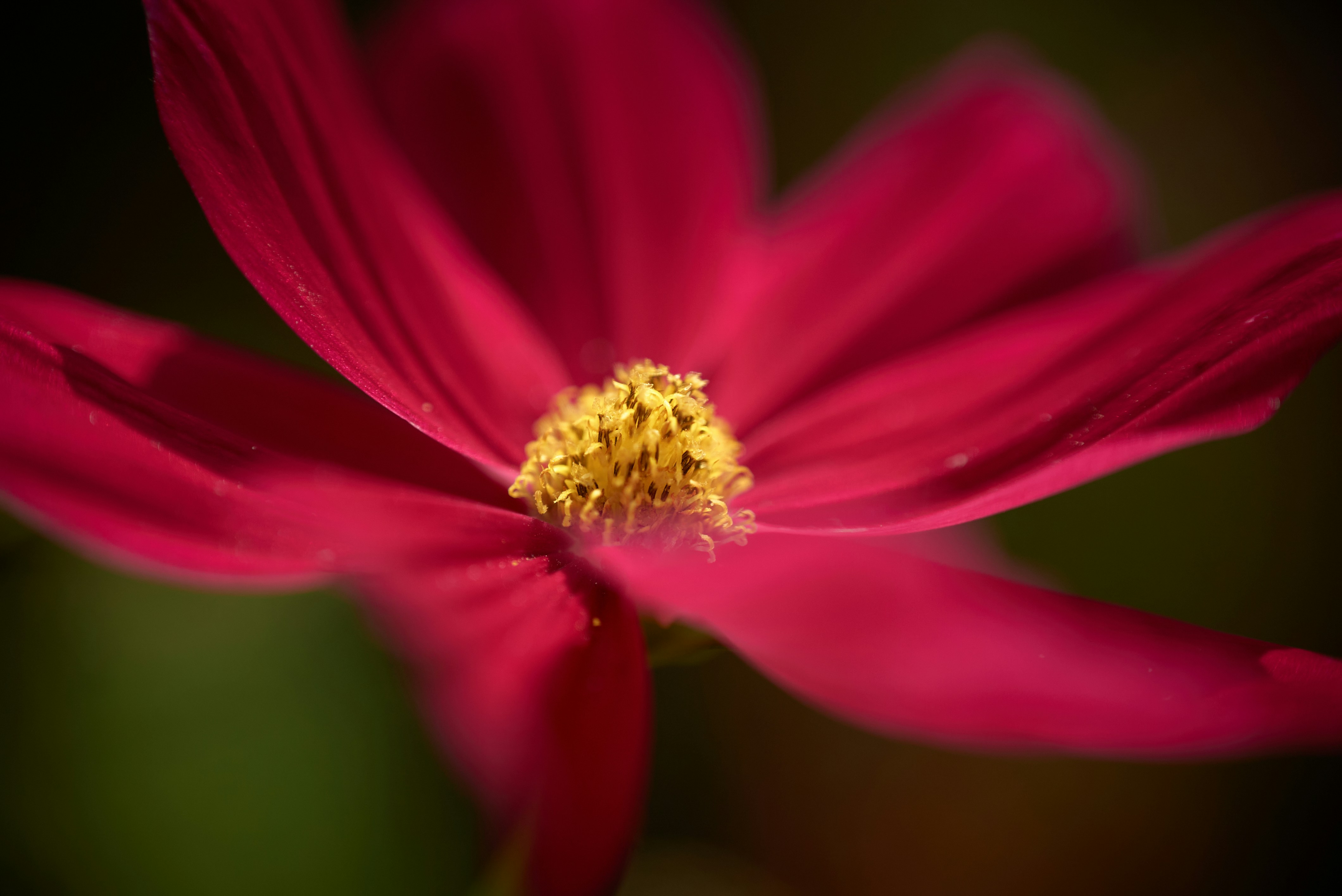 Photo by norajanelong