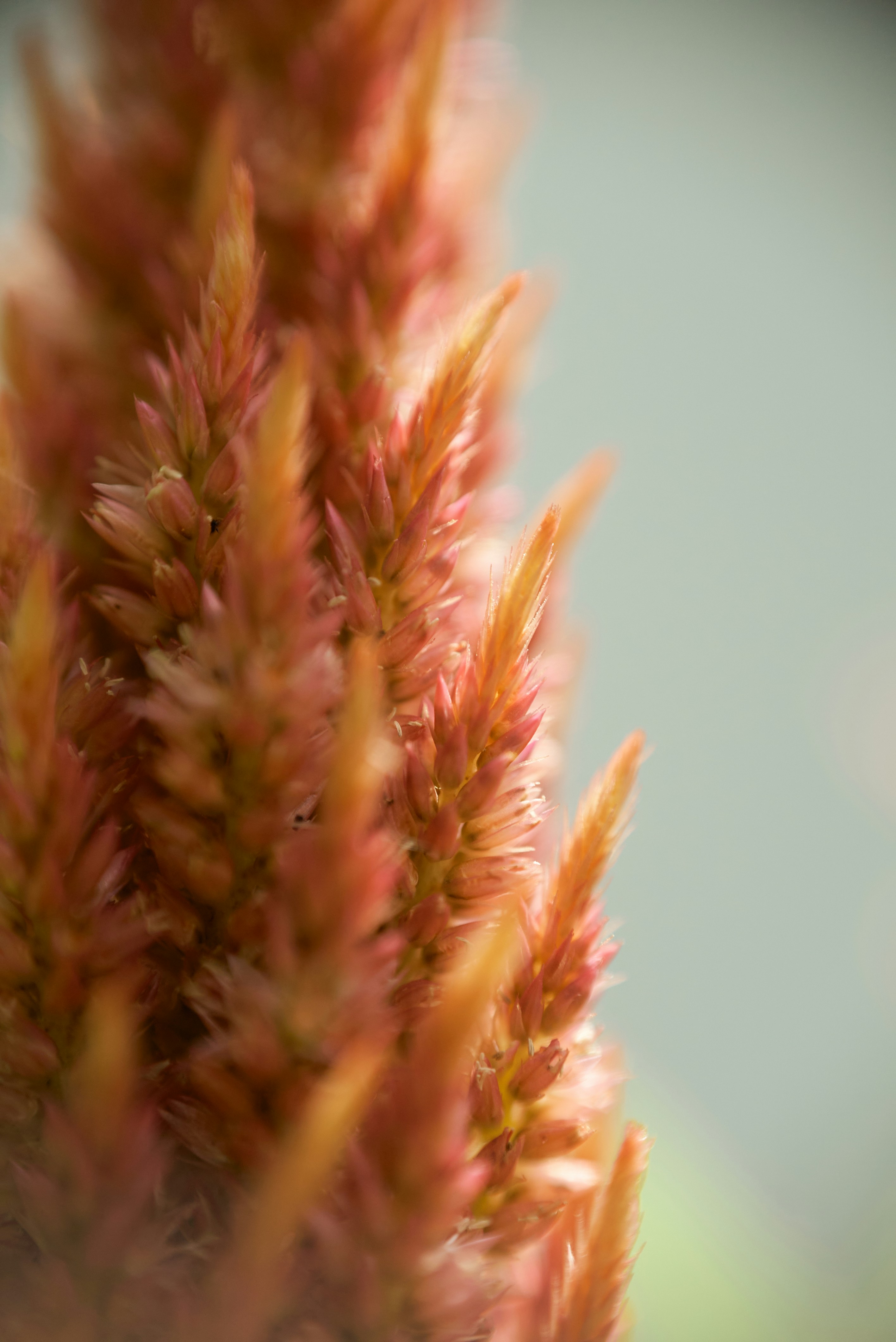 Photo by norajanelong