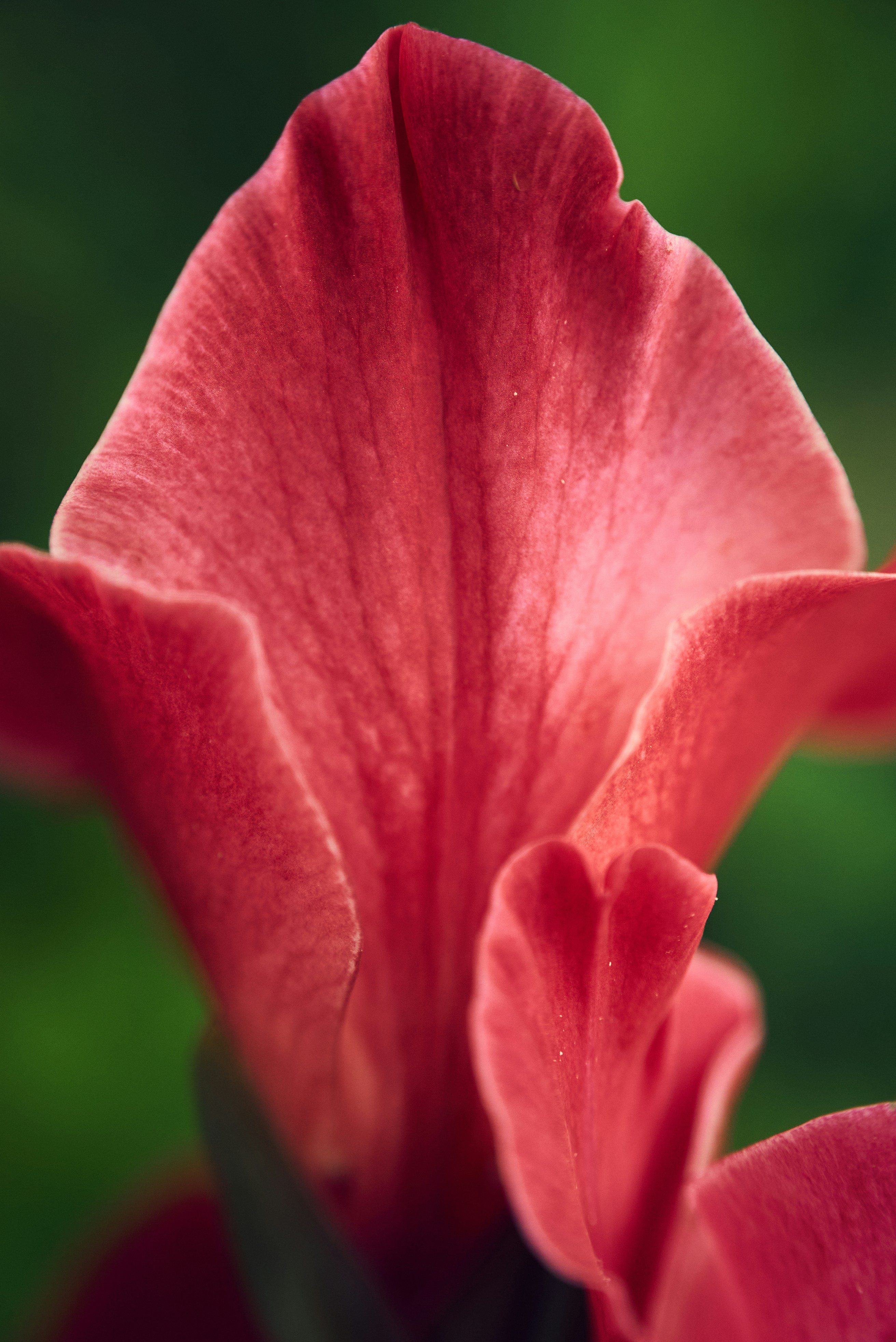 Photo by norajanelong