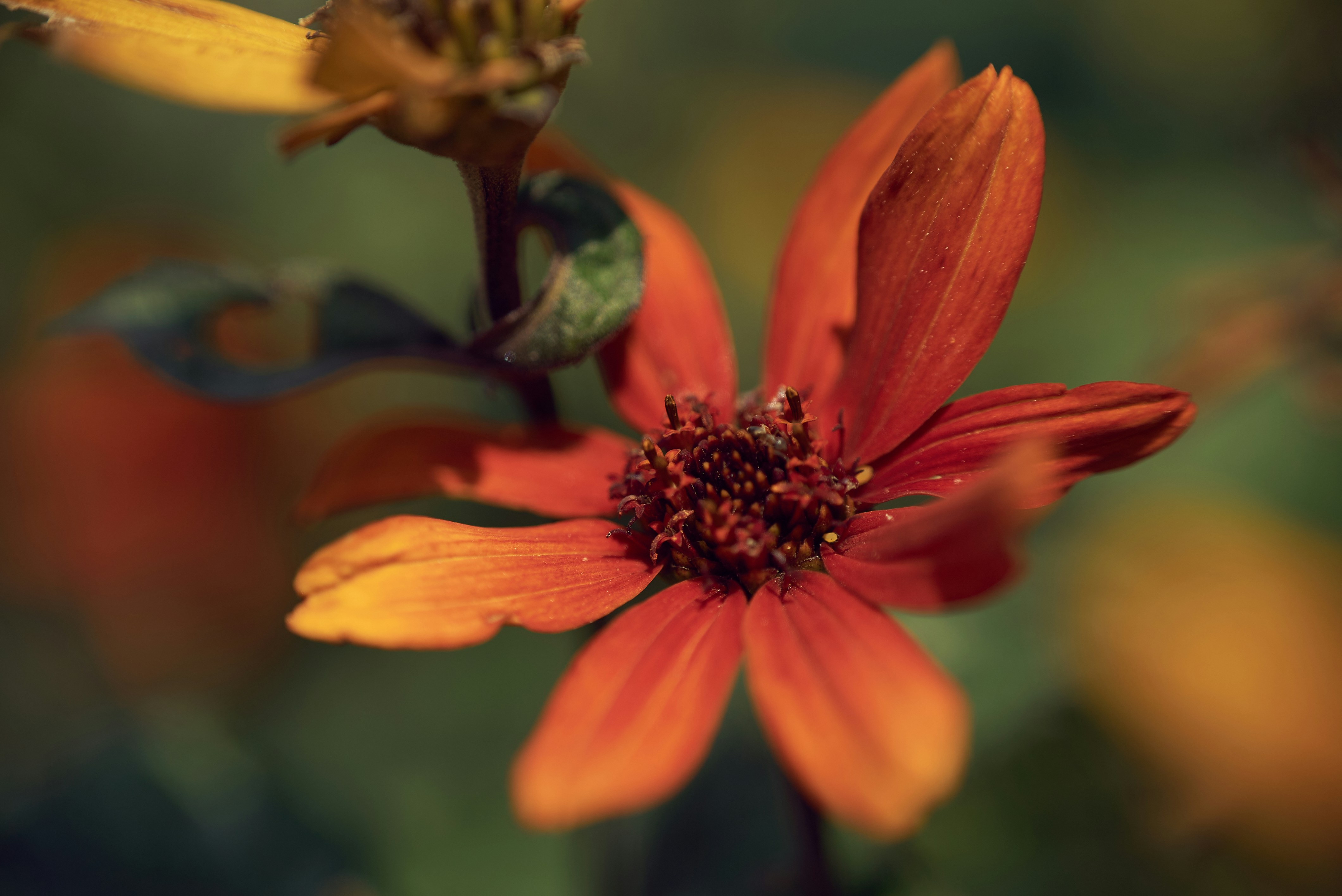 Photo by norajanelong