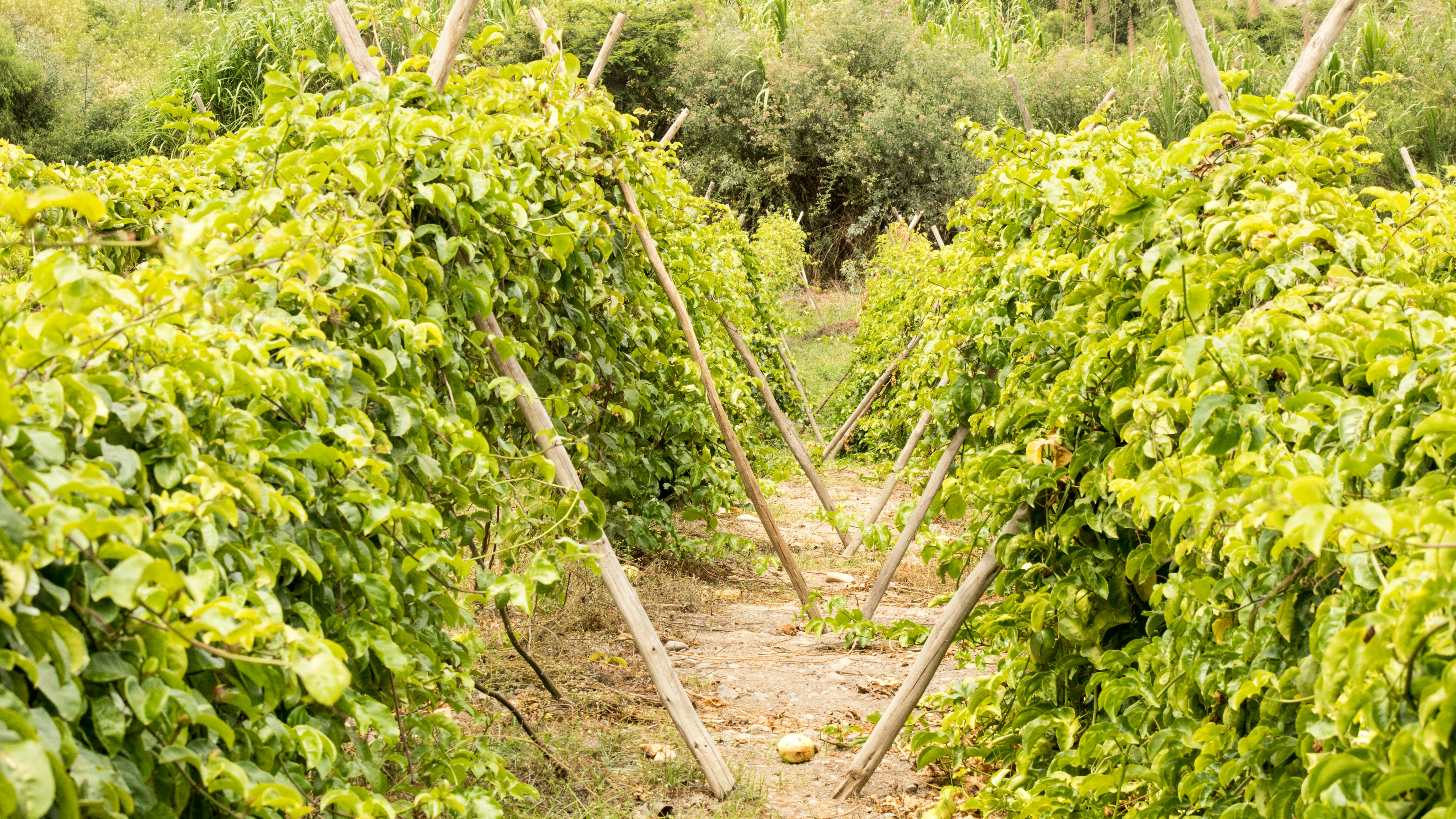 Photo by astroviajes30