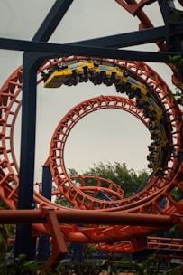 A roller coaster in an amusement park
