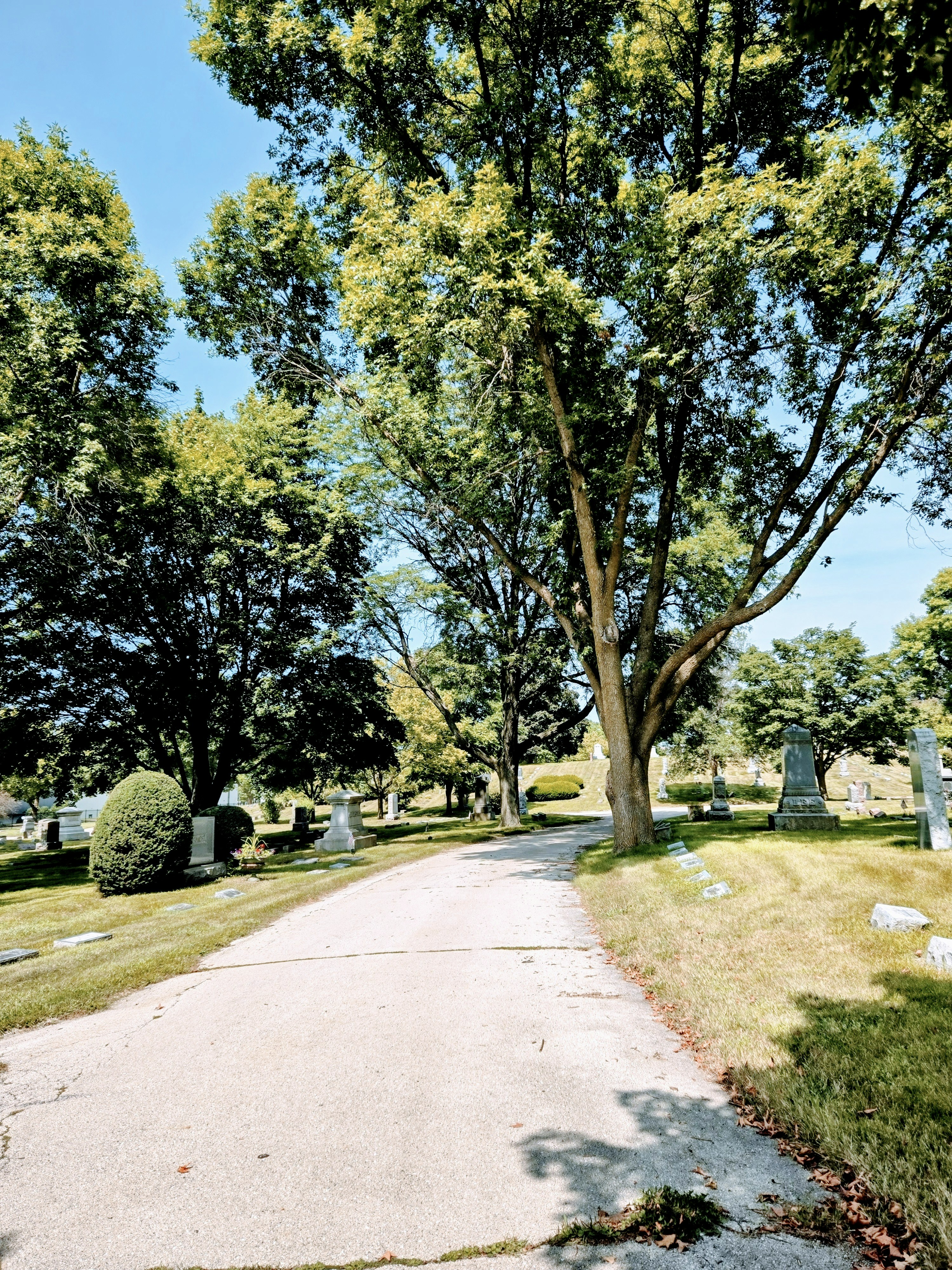 Photo by nicole_coventry