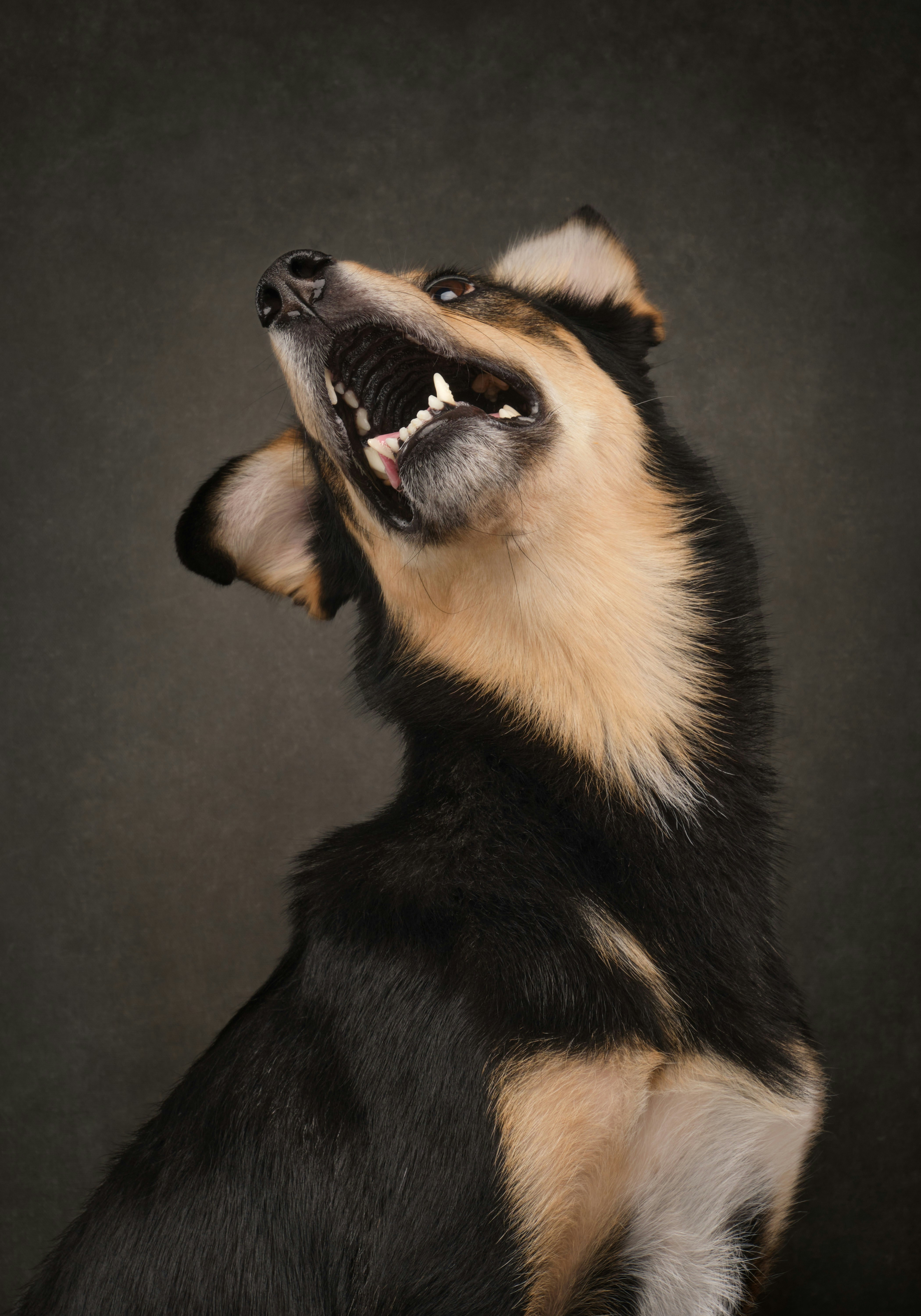 The Hunger, the Artist, and the Work