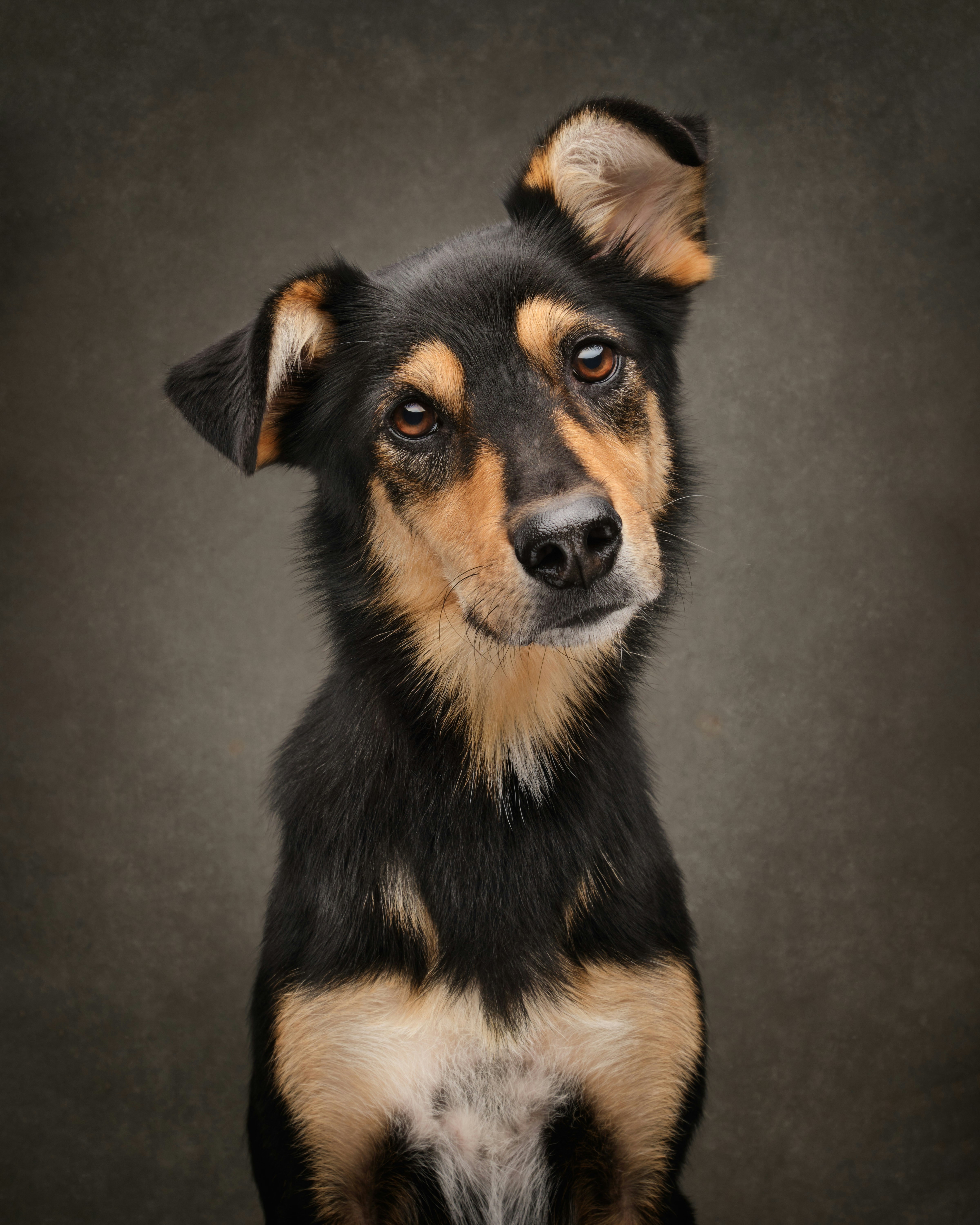 Photo by janethomson