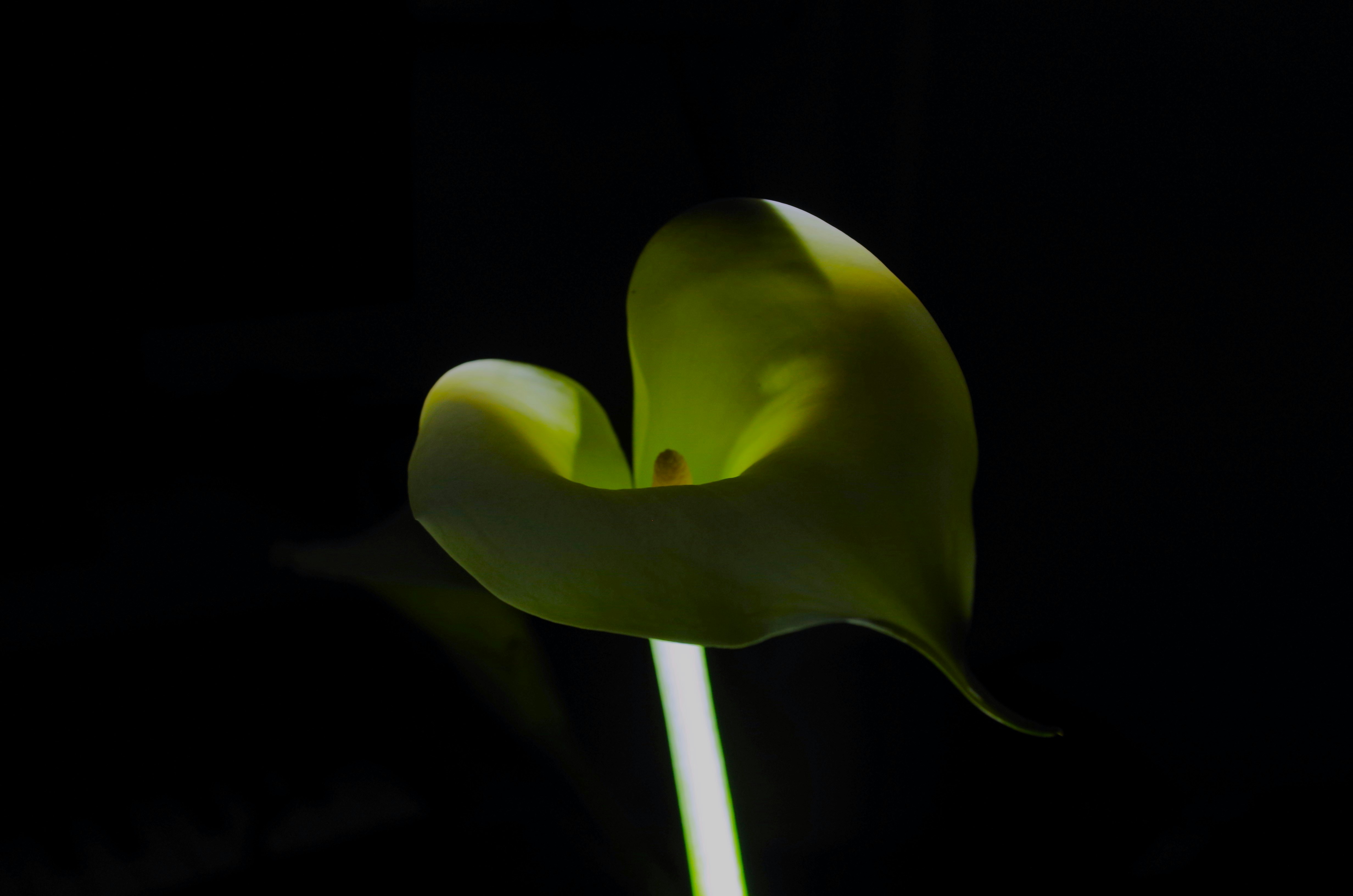 Photo by photoken123