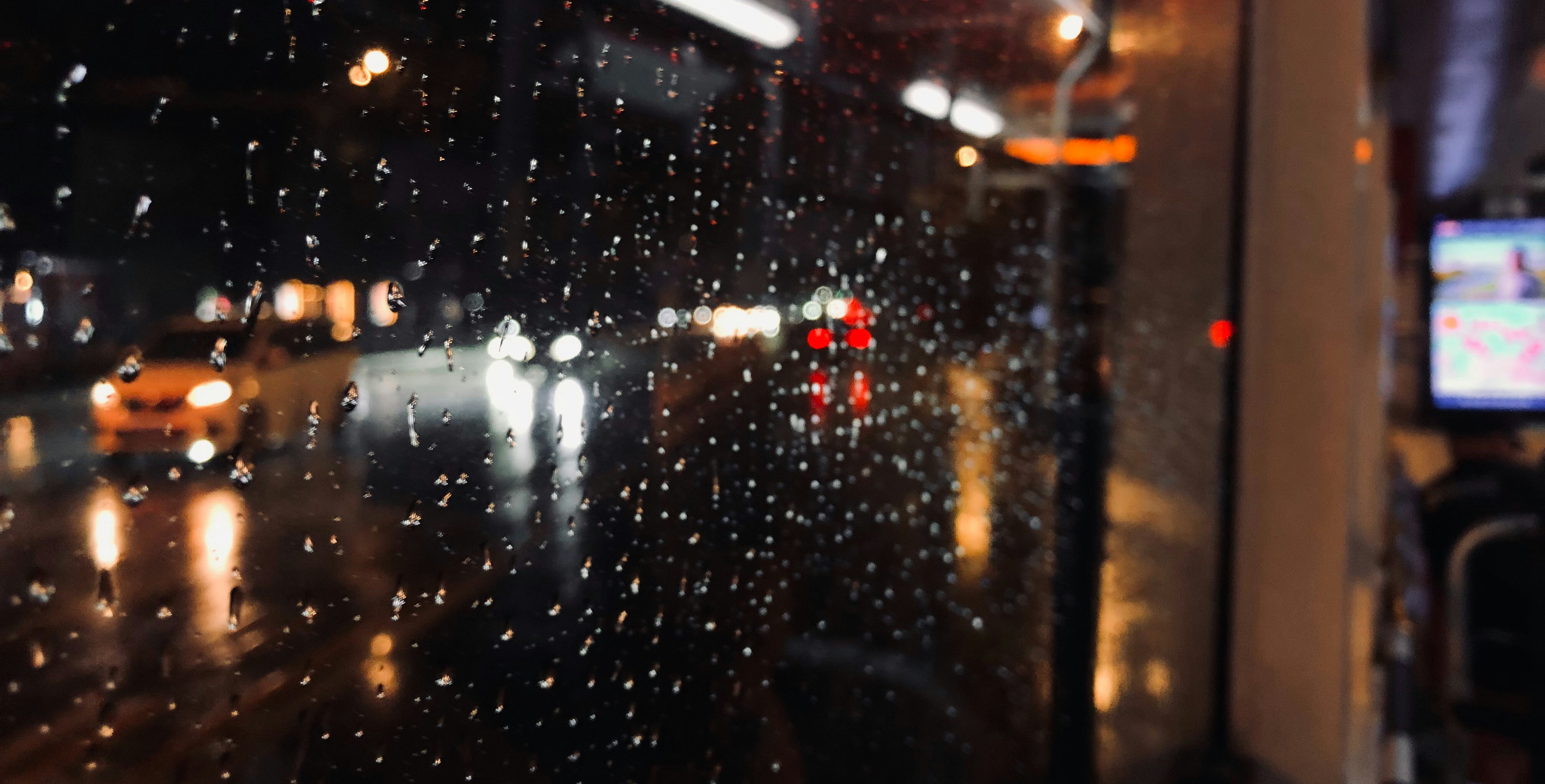 Photo by lyrax_photograph