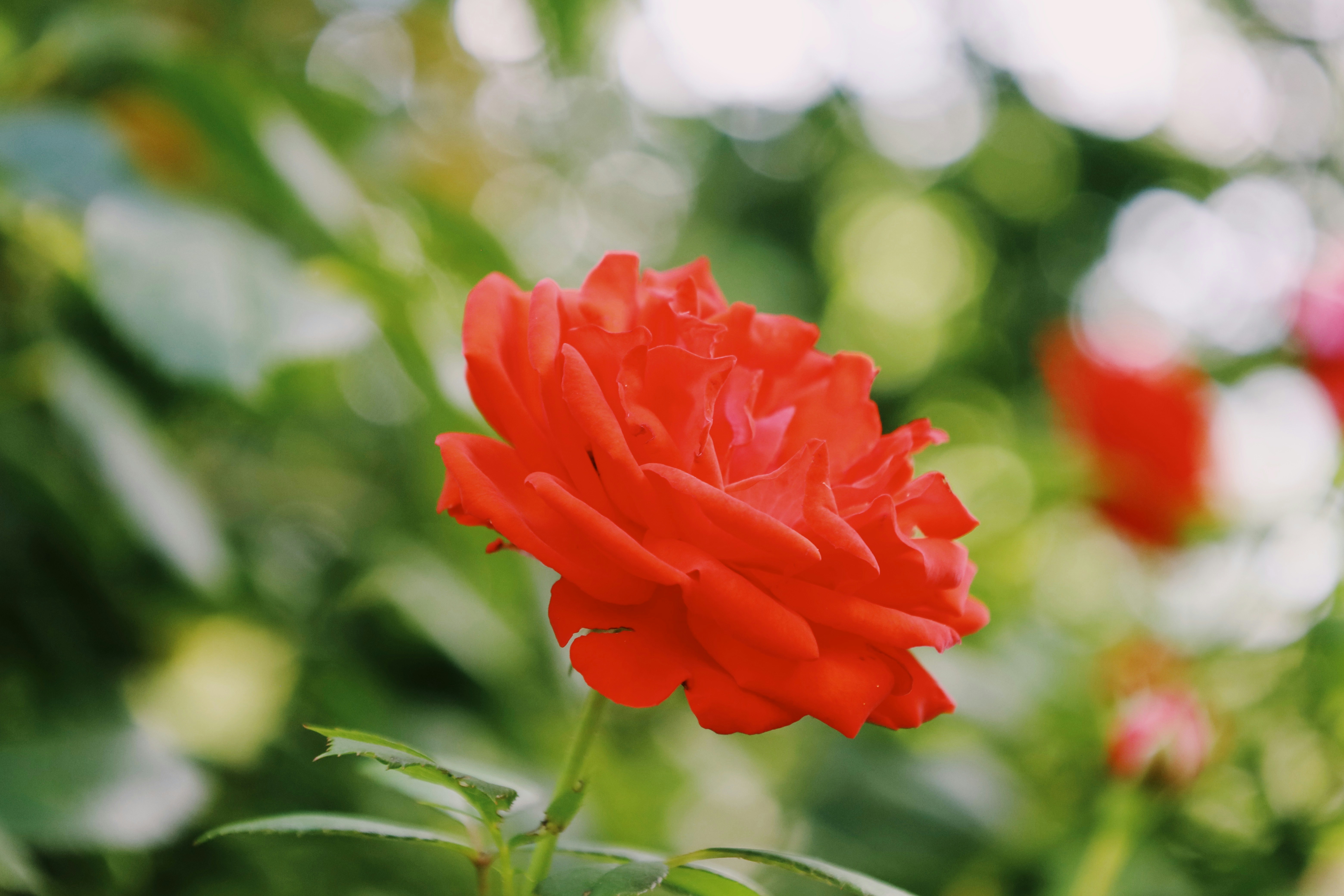 Photo by ananoelleeeee