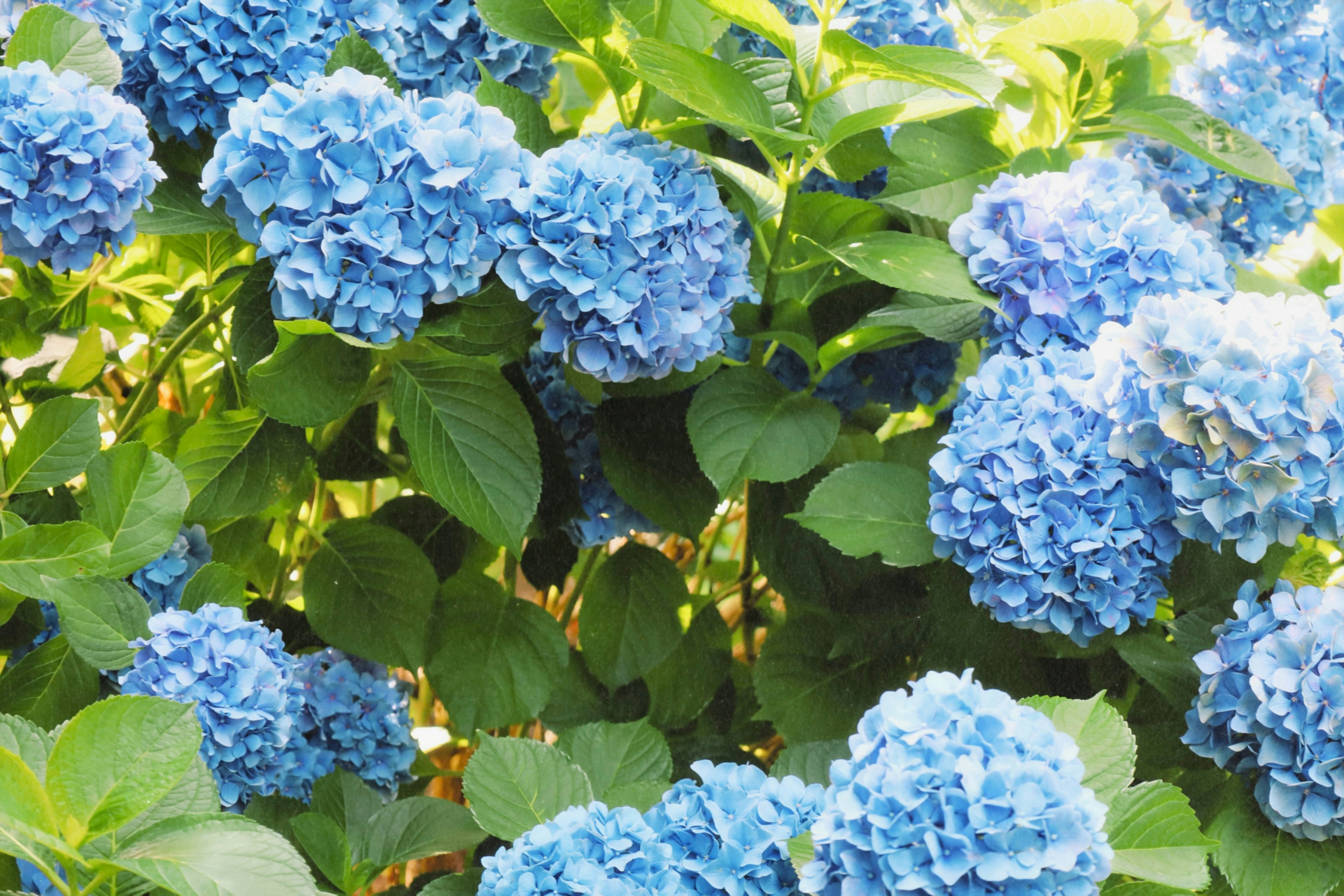 Photo by ananoelleeeee