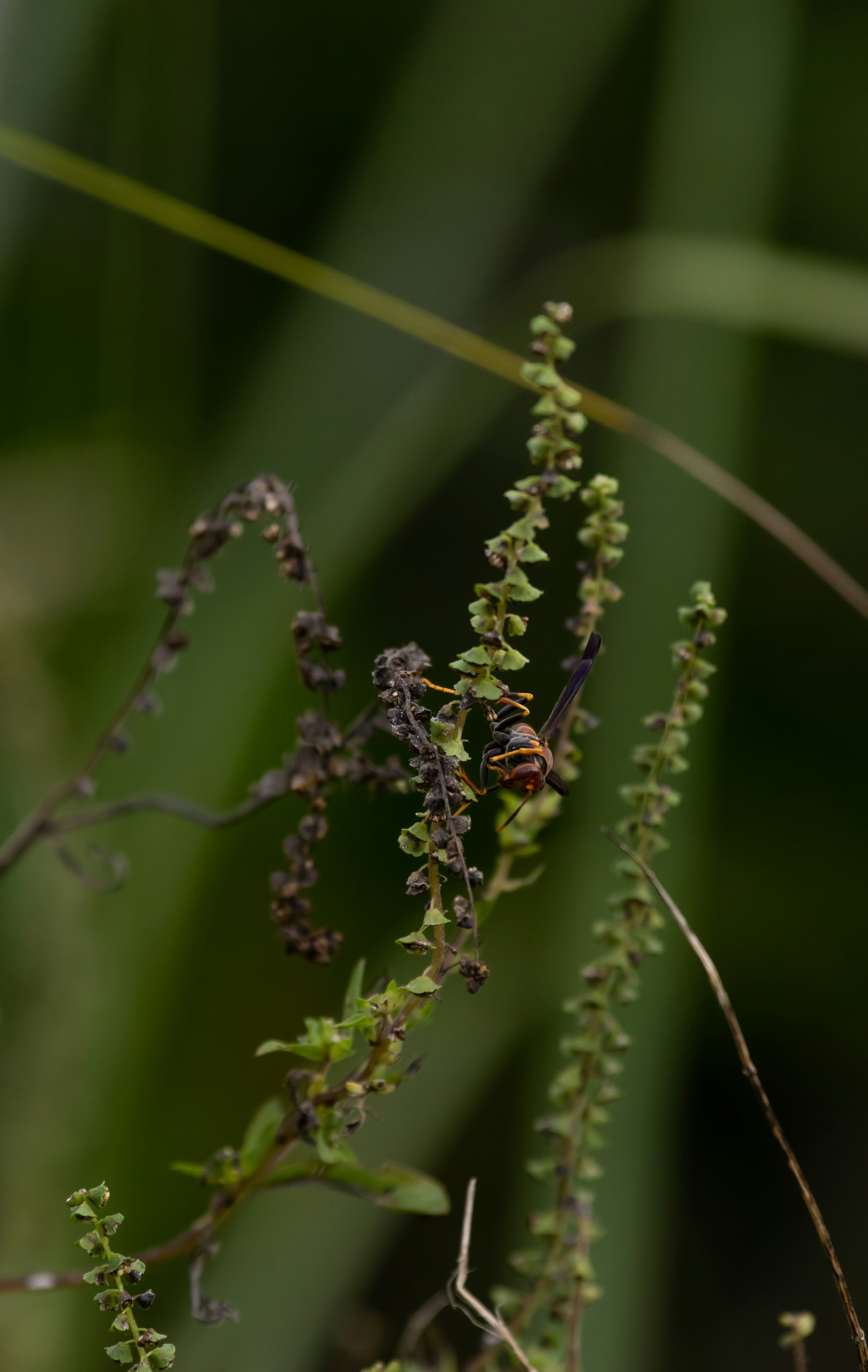 Photo by adriancross05